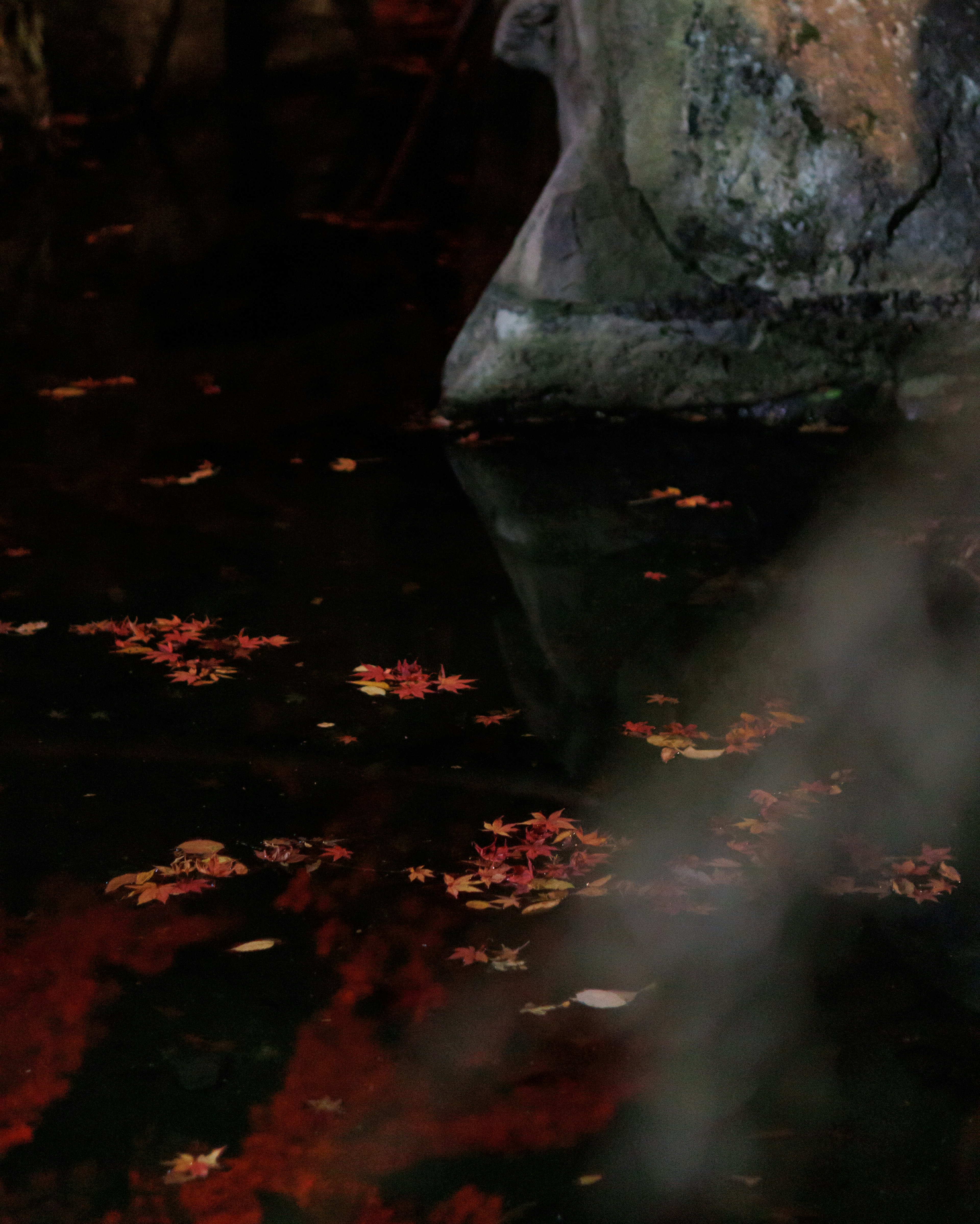 水面に浮かぶ紅葉と石の反射が見える静かな風景