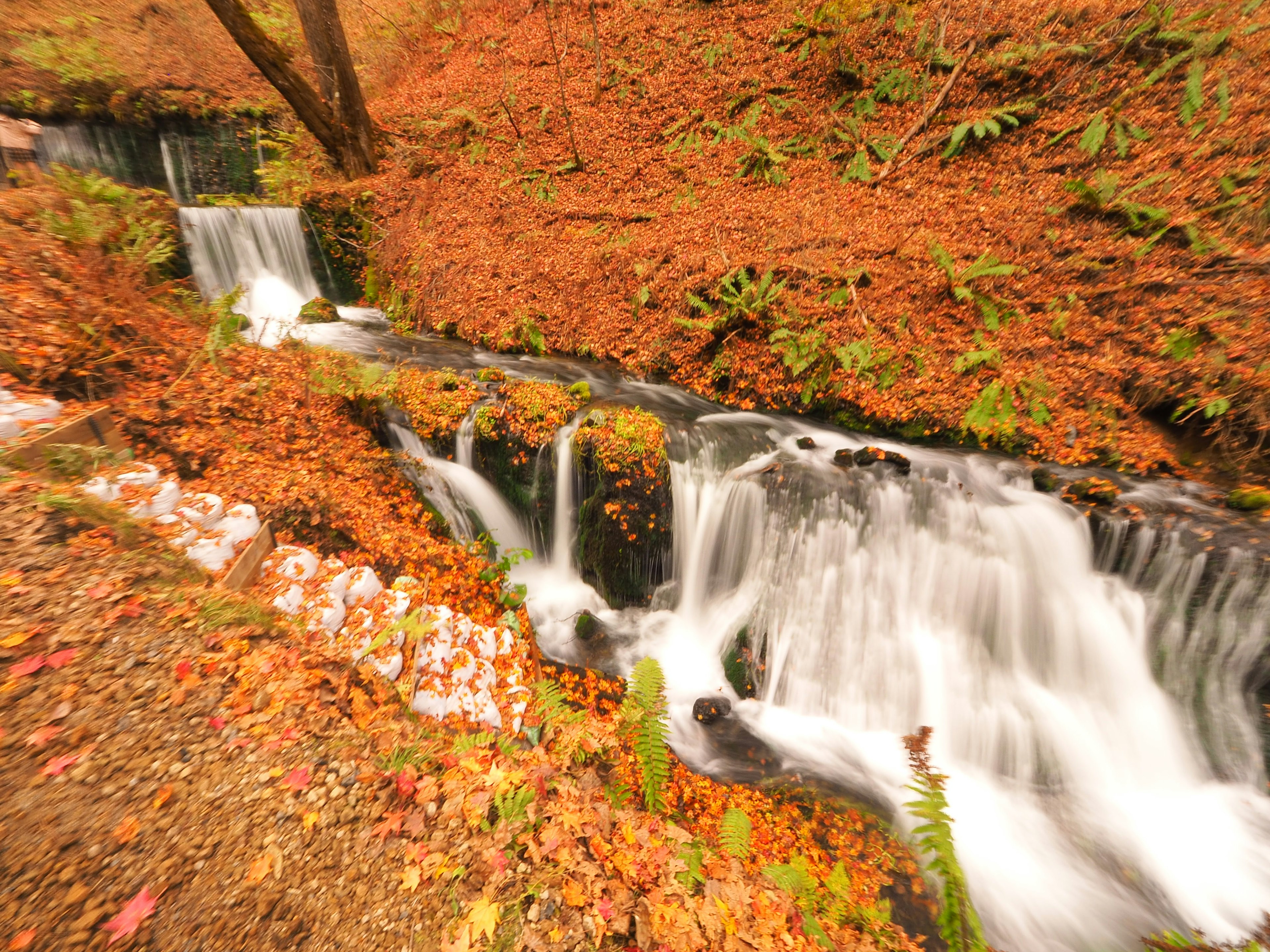 Bach, der durch herbstliches Laub mit kleinen Wasserfällen fließt