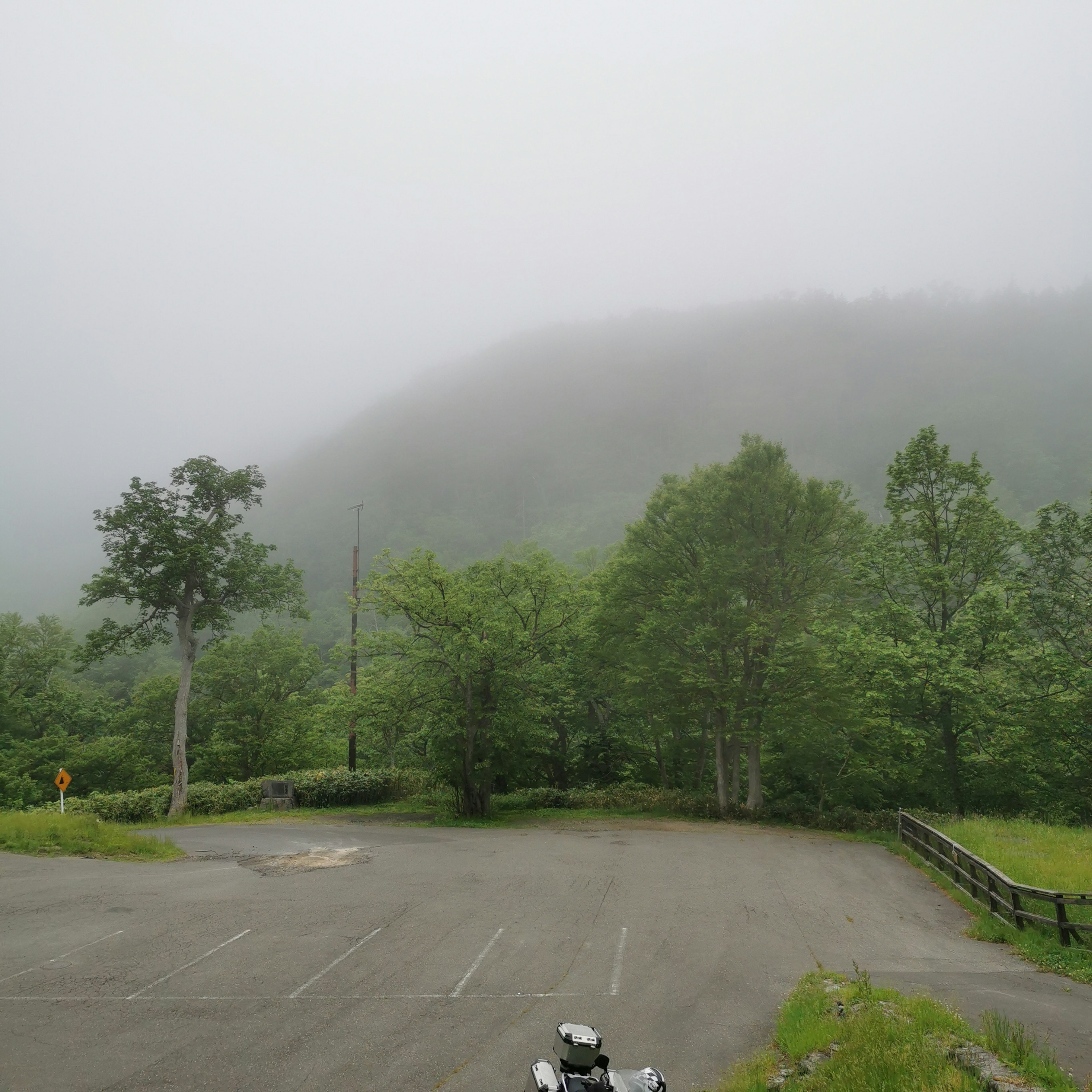 霧に包まれた緑豊かな山の風景と空の灰色の背景