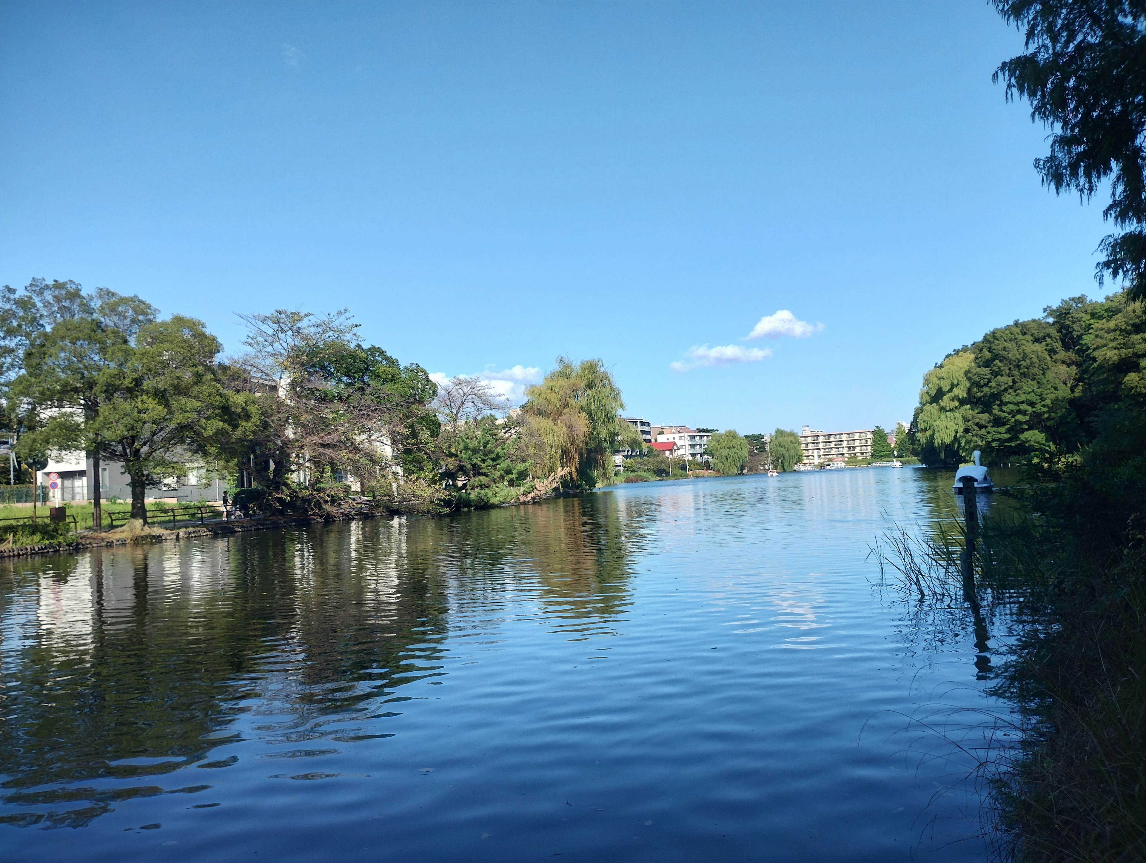 Ruhiges Wasser, das einen blauen Himmel und üppiges Grün spiegelt