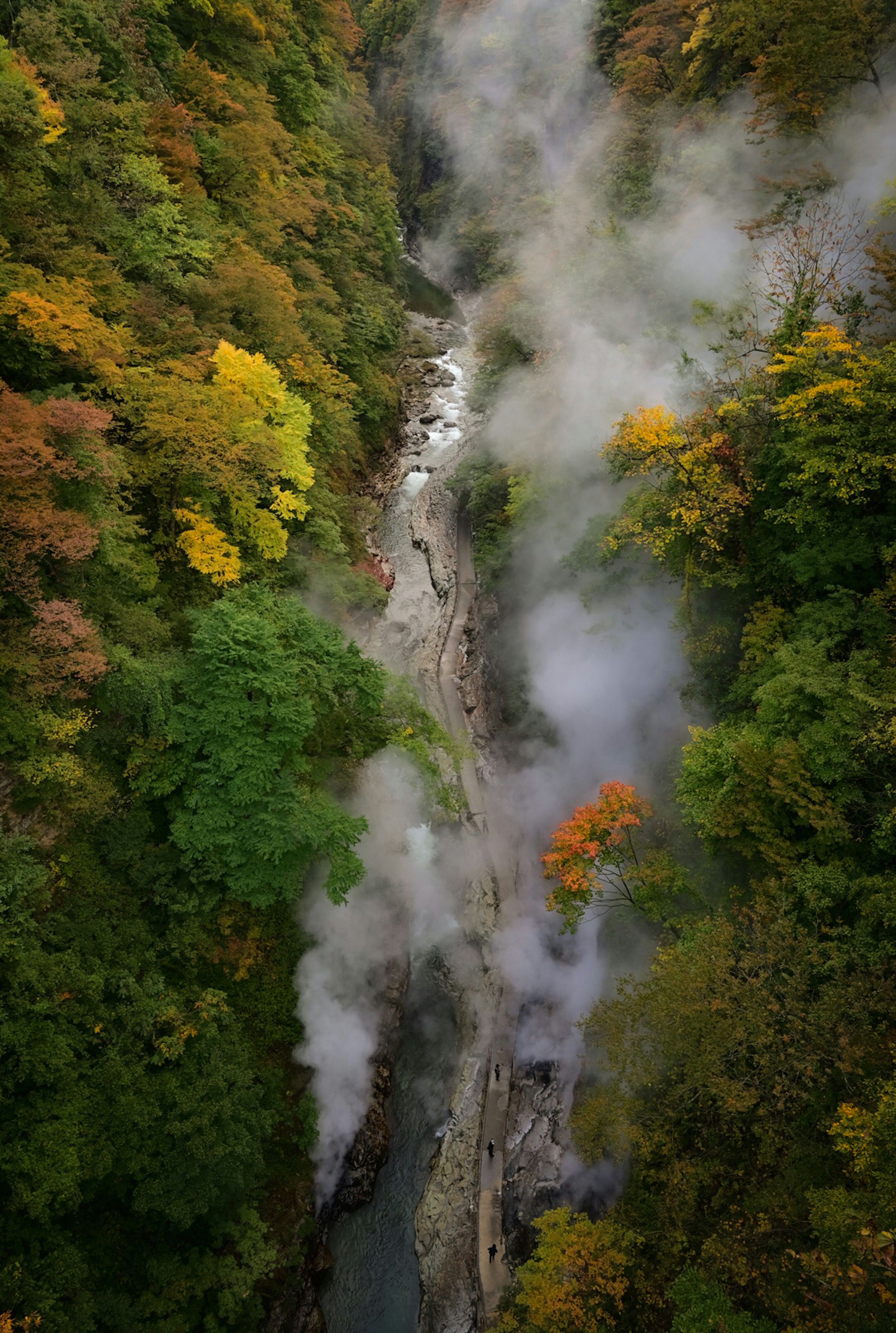 Aerial view of a canyon with rising steam surrounded by colorful trees