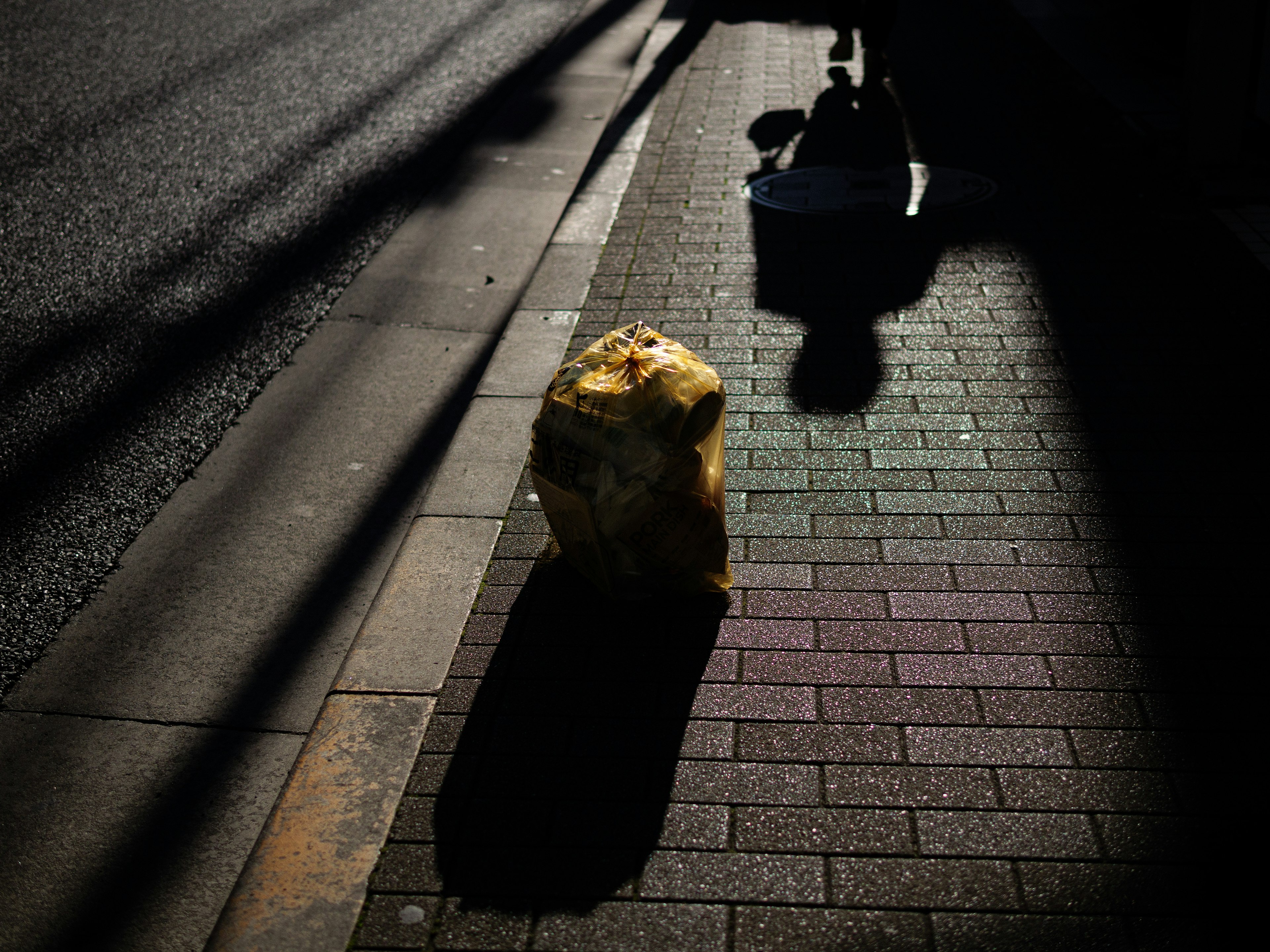 Large stone on a dark sidewalk with a shadow