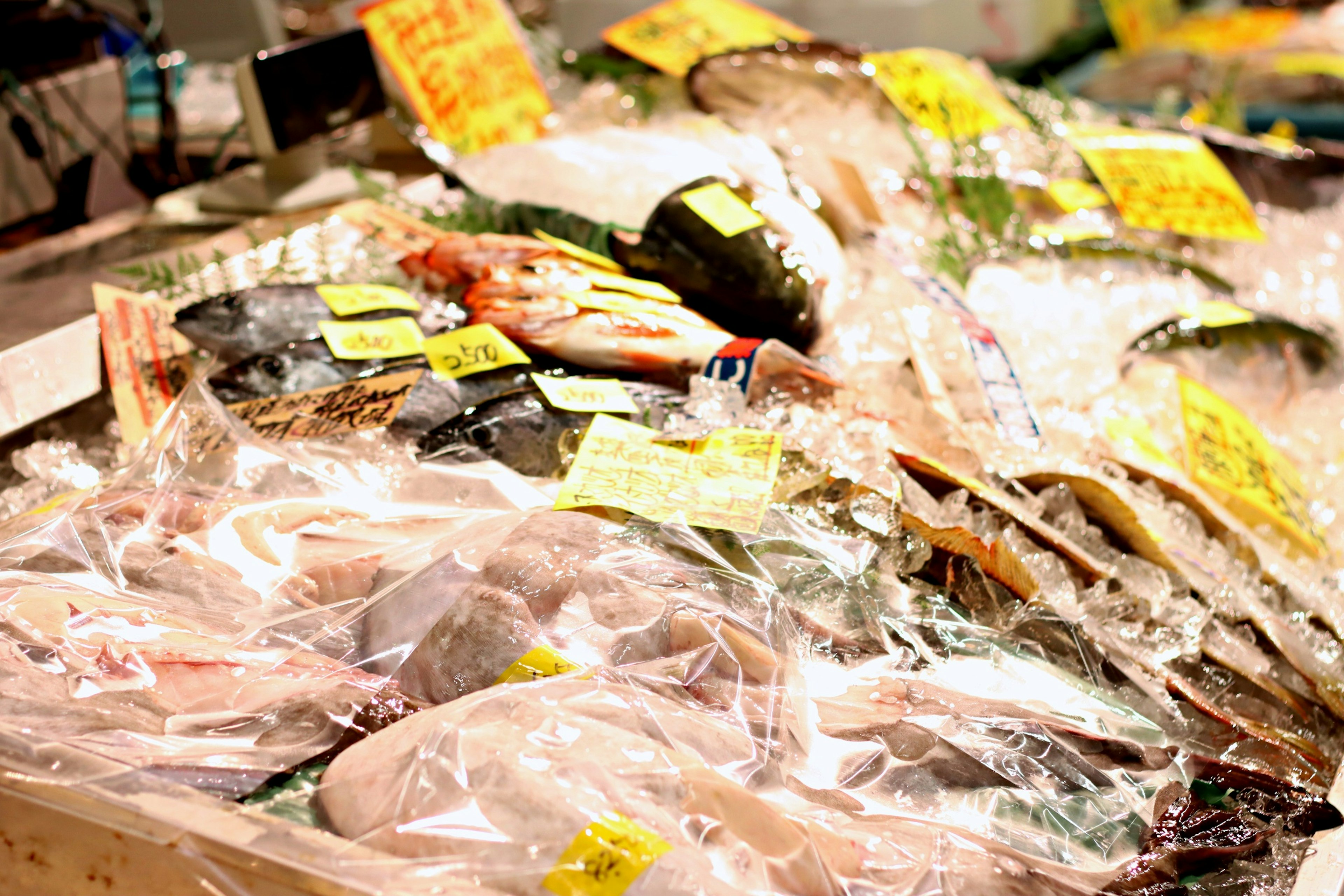 Display of seafood at a fish market with price tags