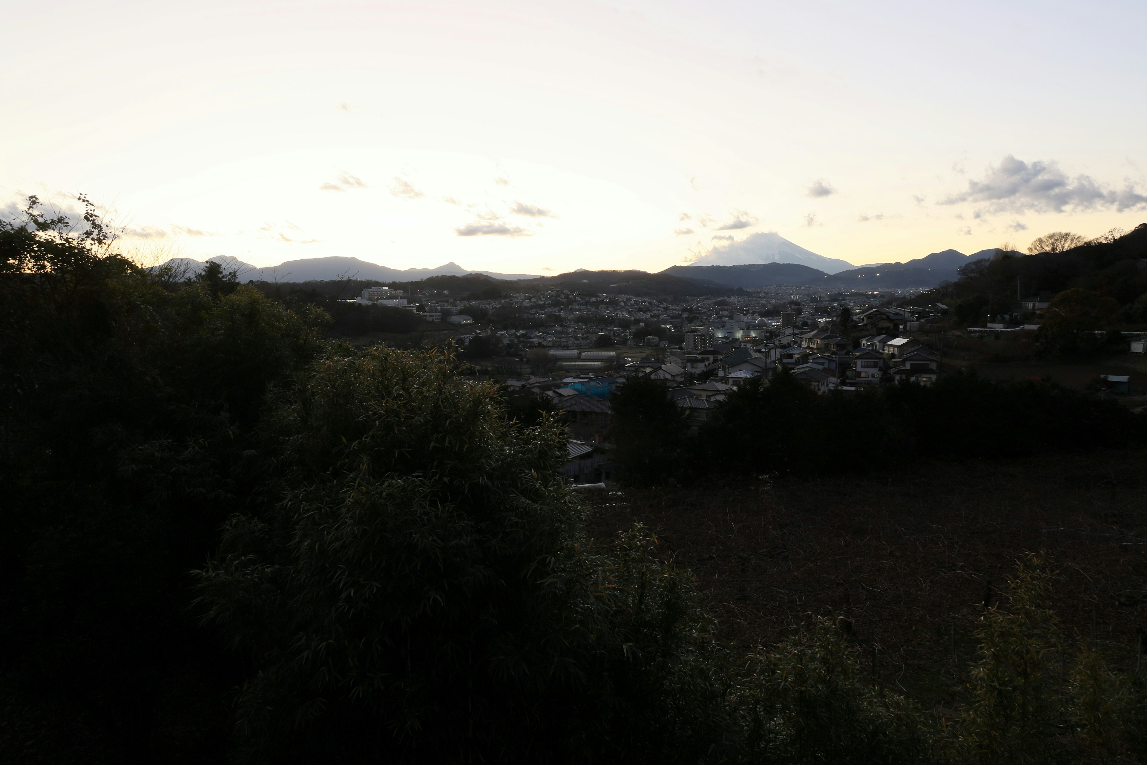 黄昏景观，郁郁葱葱的树木和远处的山脉轮廓 富士山的轮廓