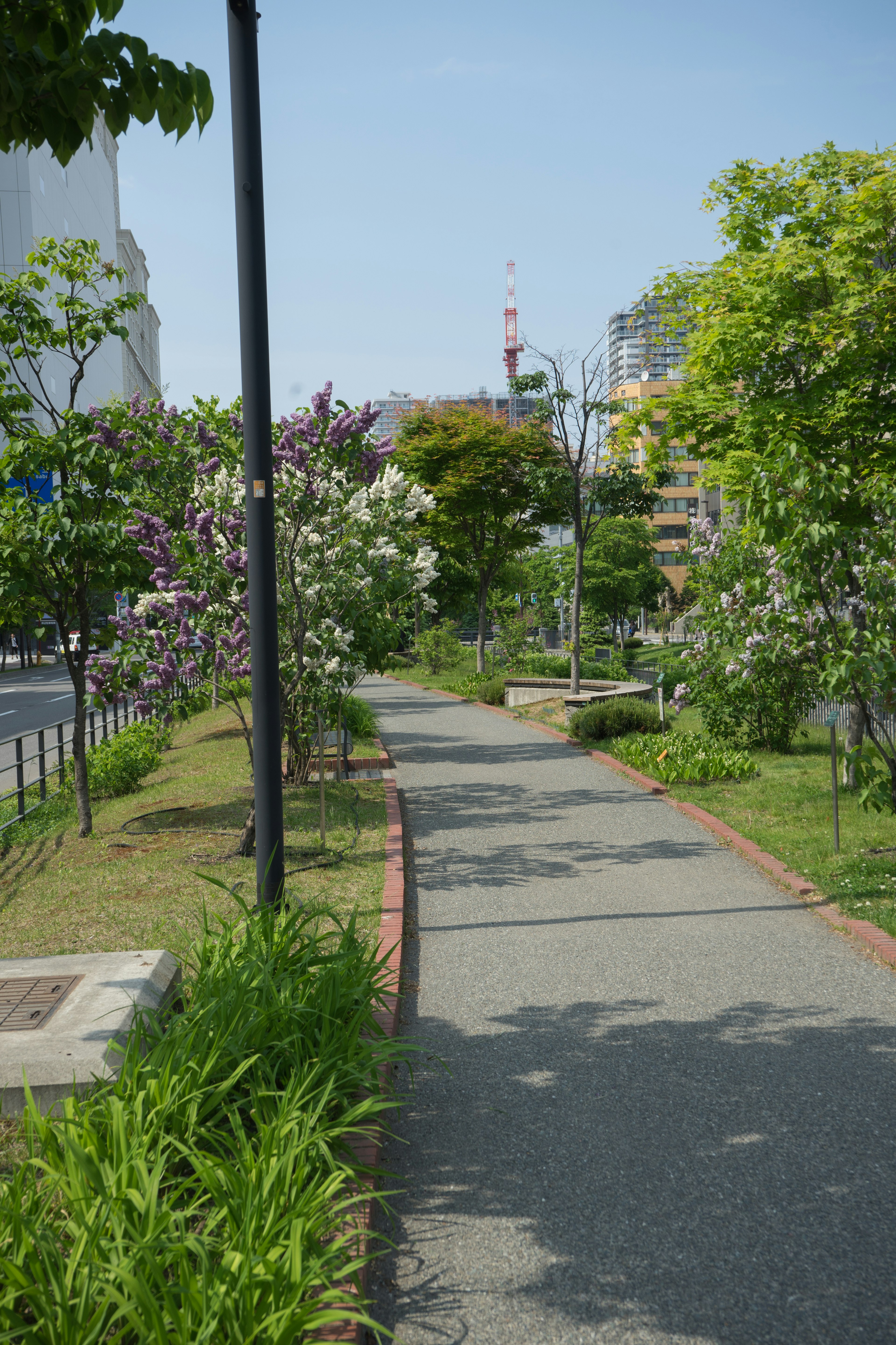 Scenic walking path lined with trees and flowers