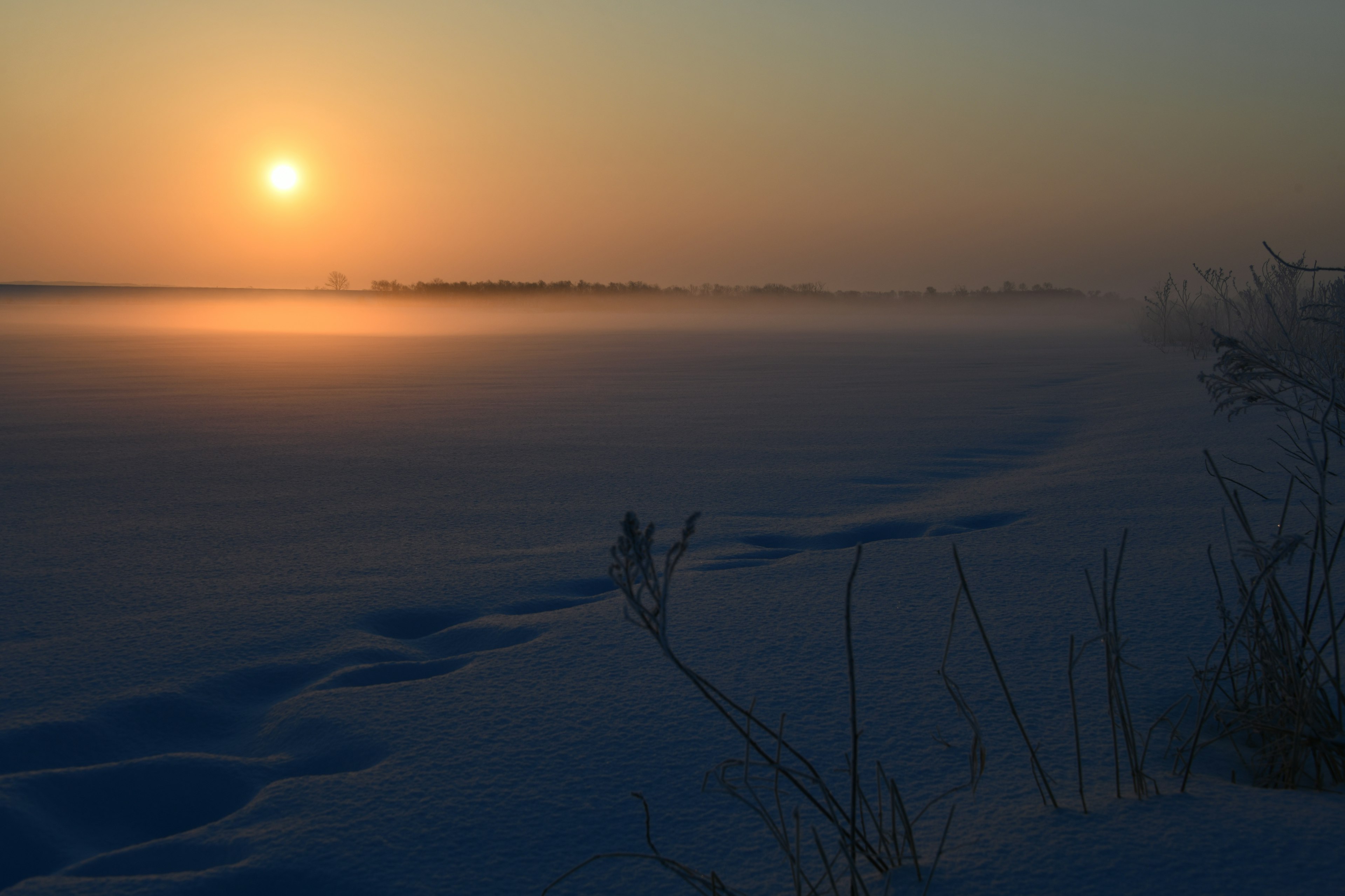 Paysage d'hiver serein avec le coucher de soleil illuminant un champ enneigé