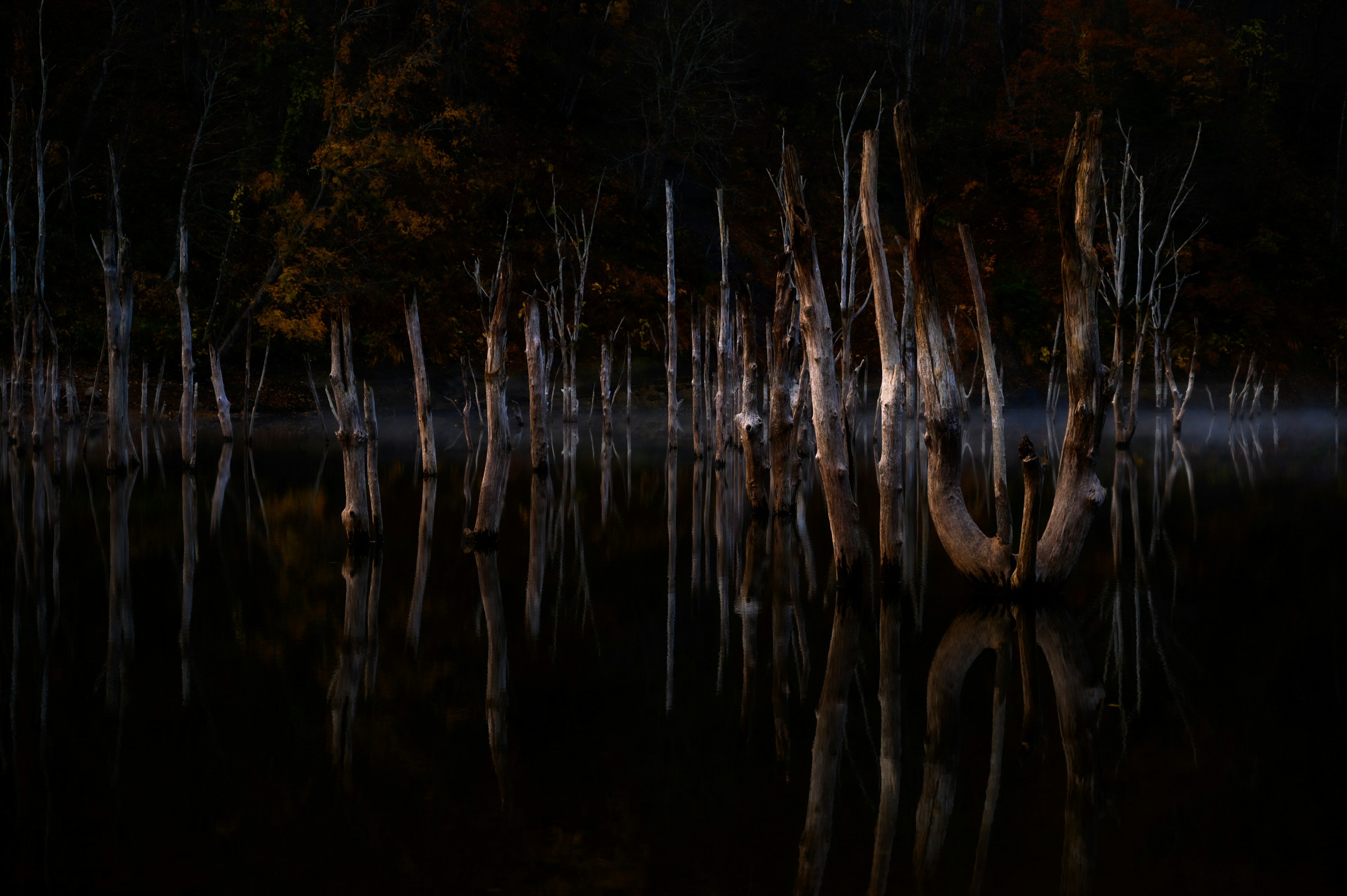 Mysteriöse Landschaft mit toten Bäumen, die sich im dunklen Wasser spiegeln