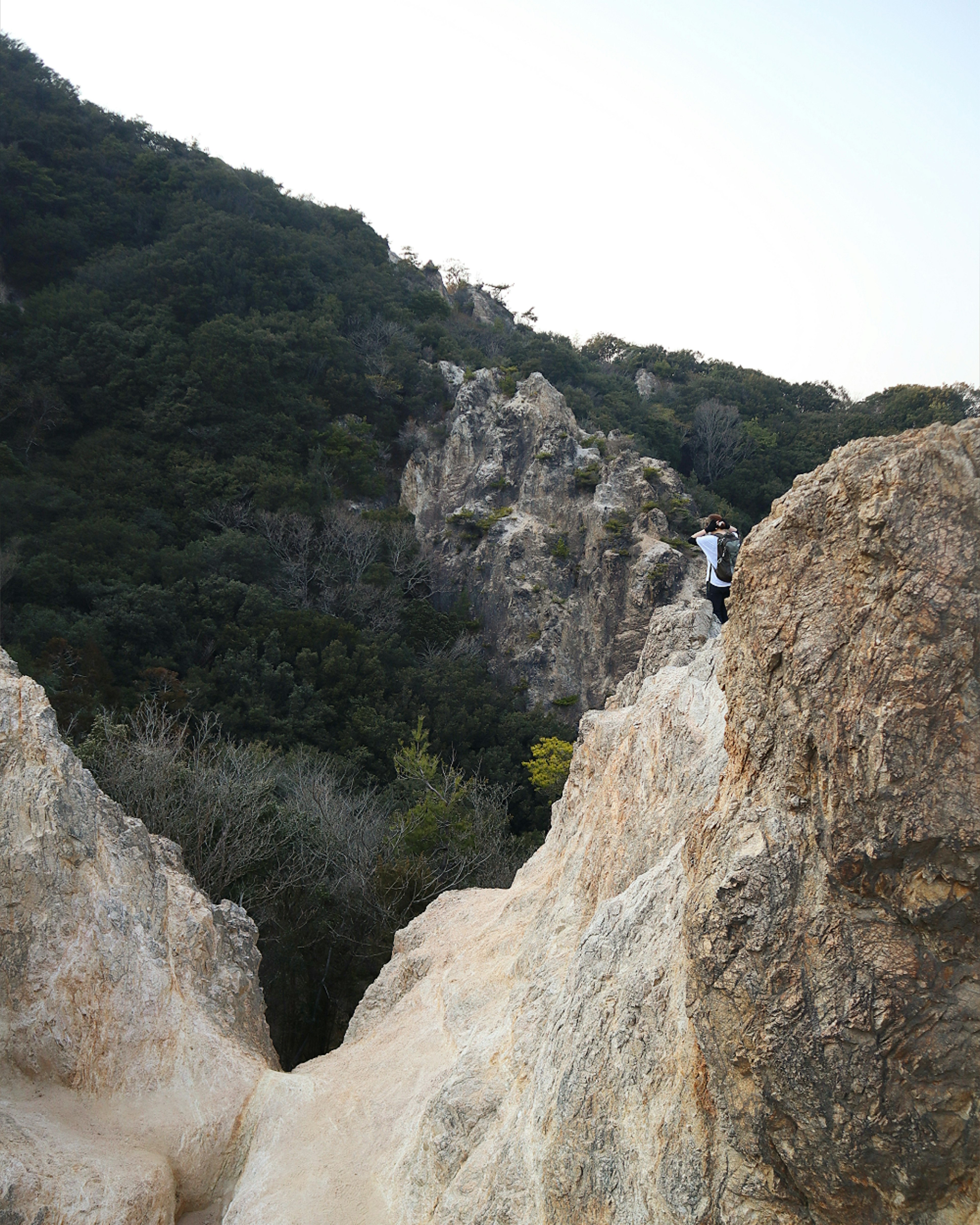 Eine Person, die auf felsigem Terrain klettert, umgeben von Grün und Hügeln