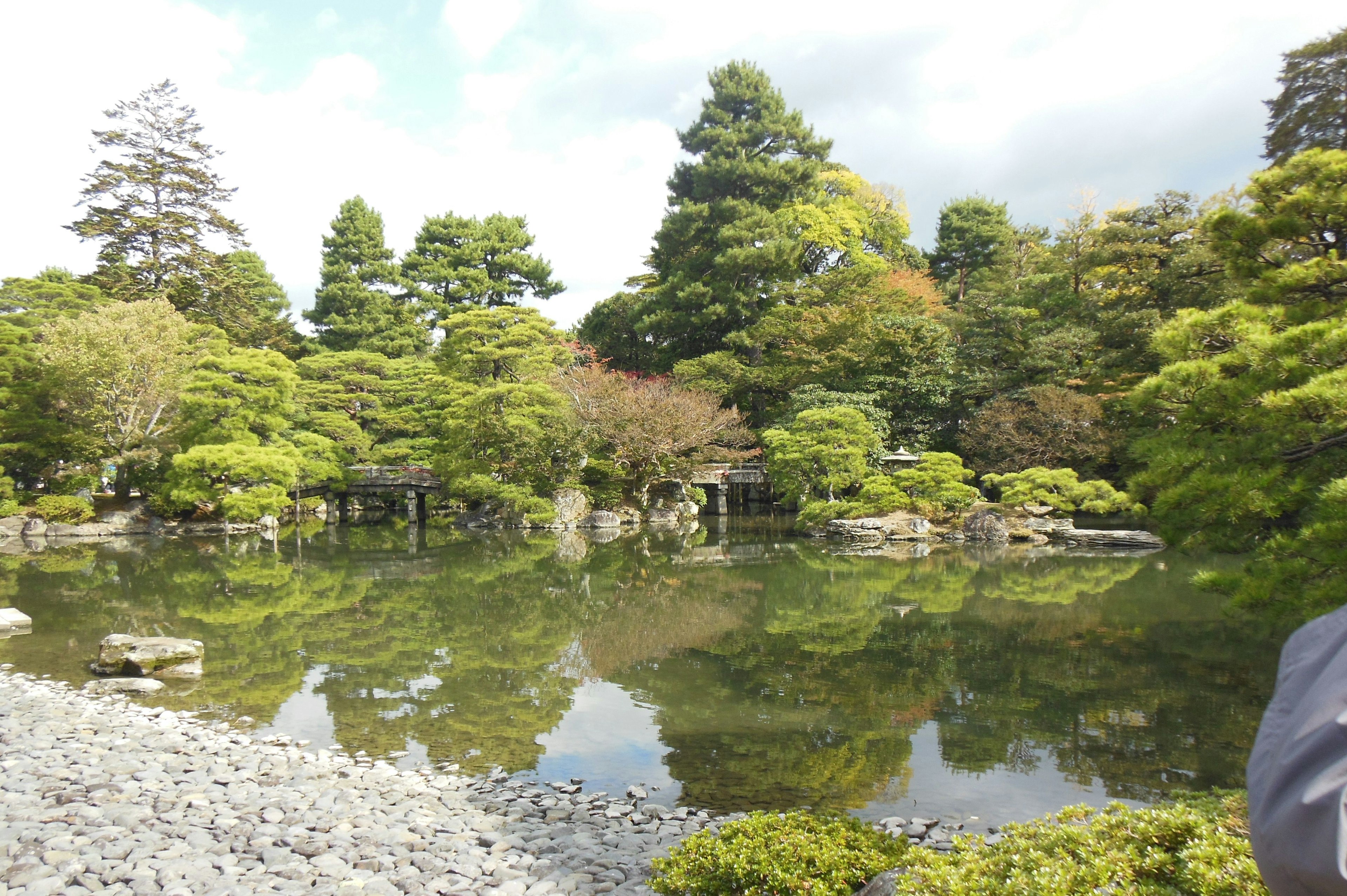 池と庭の風景 緑の木々と水面の反射が美しい