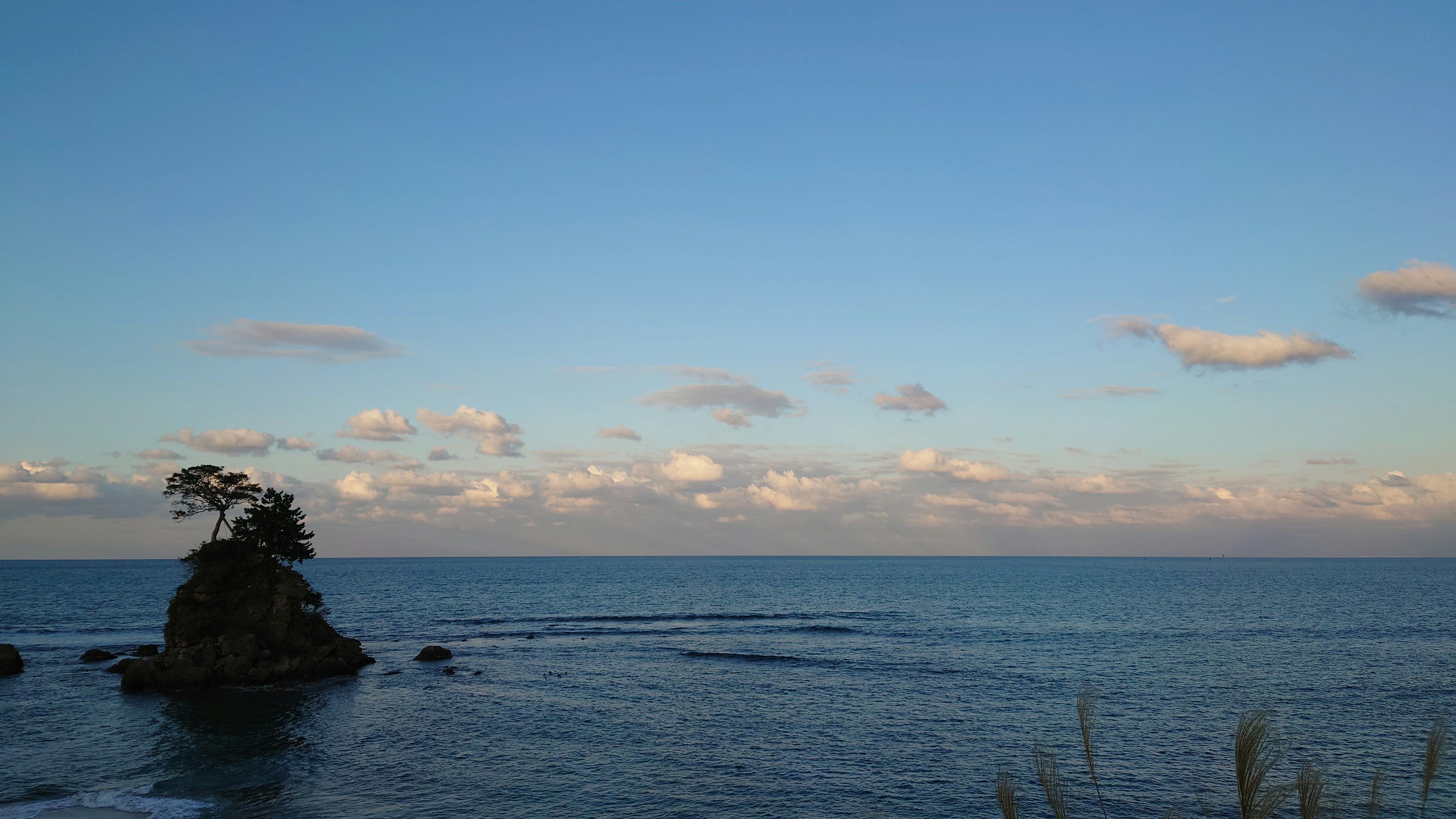 蓝天和宁静海洋下的小岛和树木的风景