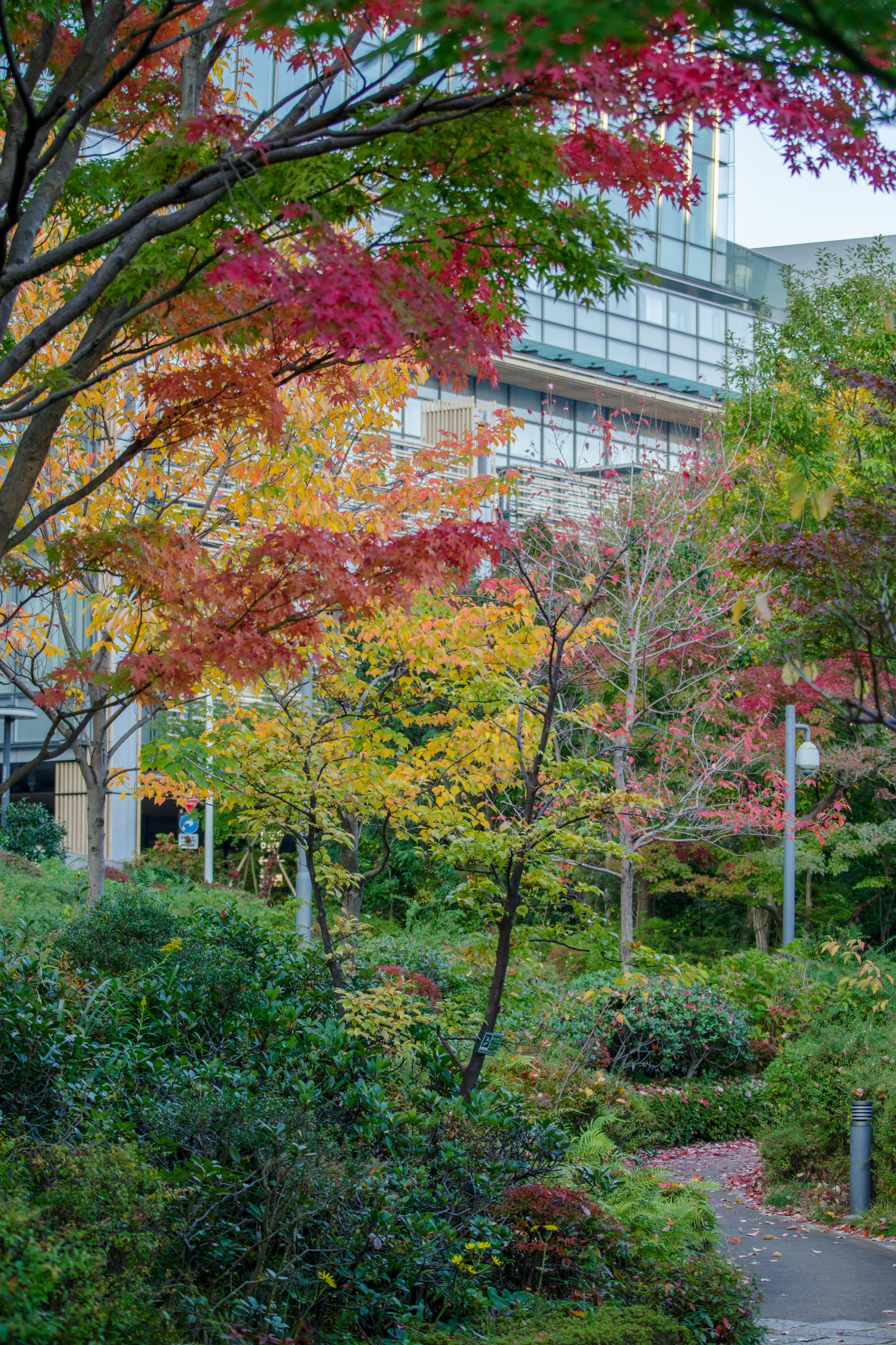 Malersicher Blick auf einen Park mit buntem Herbstlaub