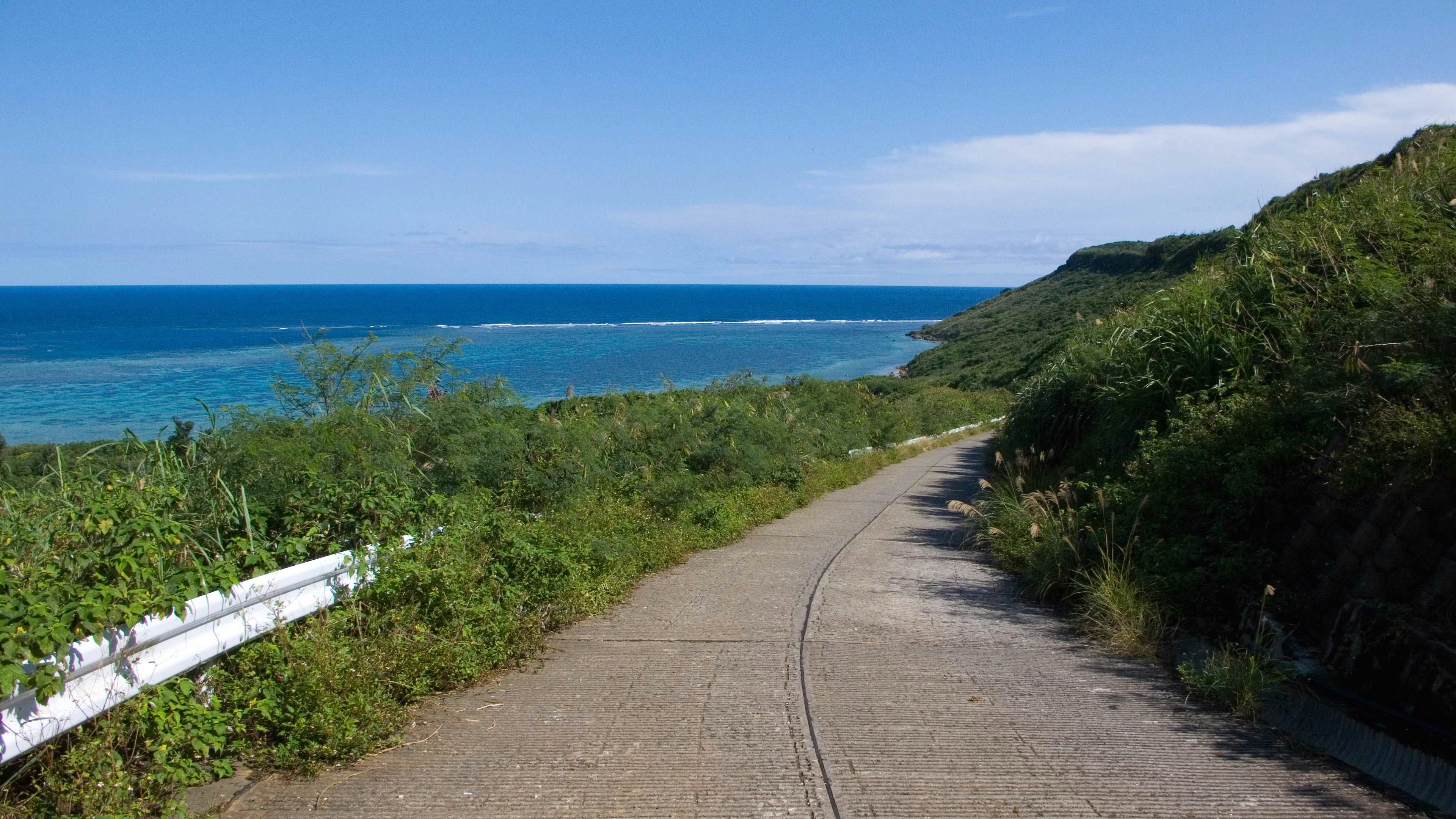 Strada curva circondata da vegetazione verde e mare blu