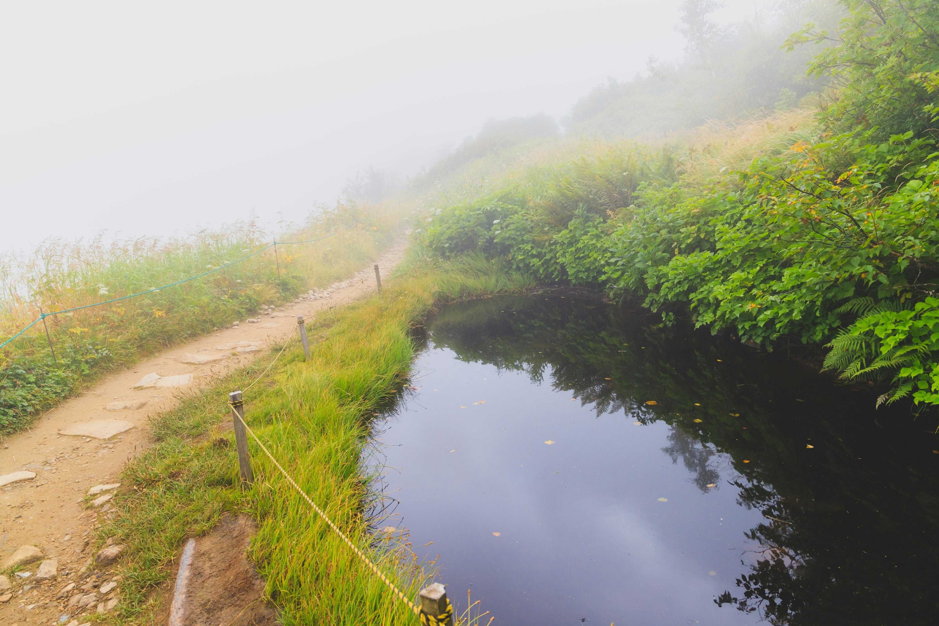 Foggy landscape featuring a narrow path and calm water of a stream