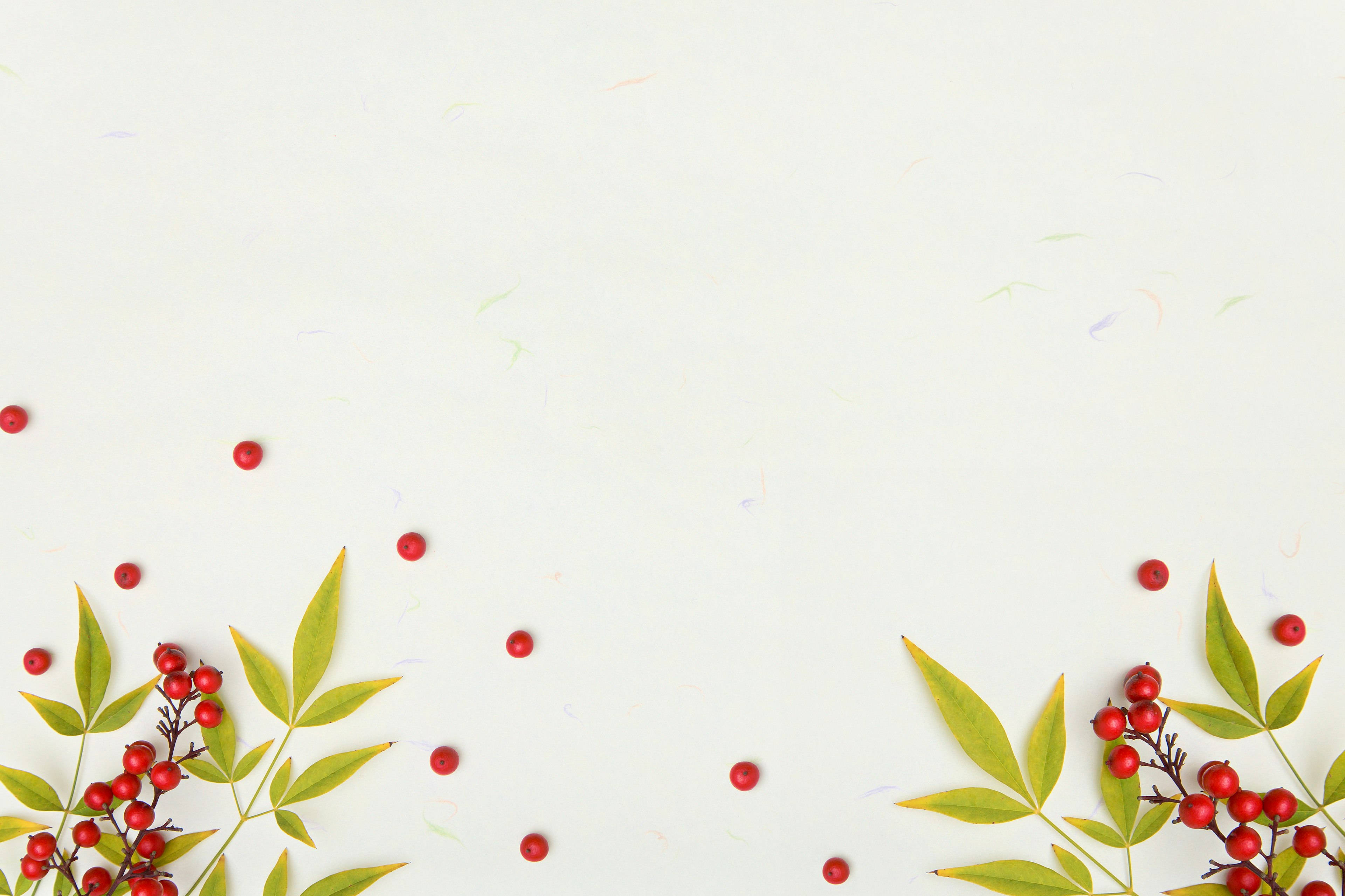 Red berries and green leaves scattered on a white background