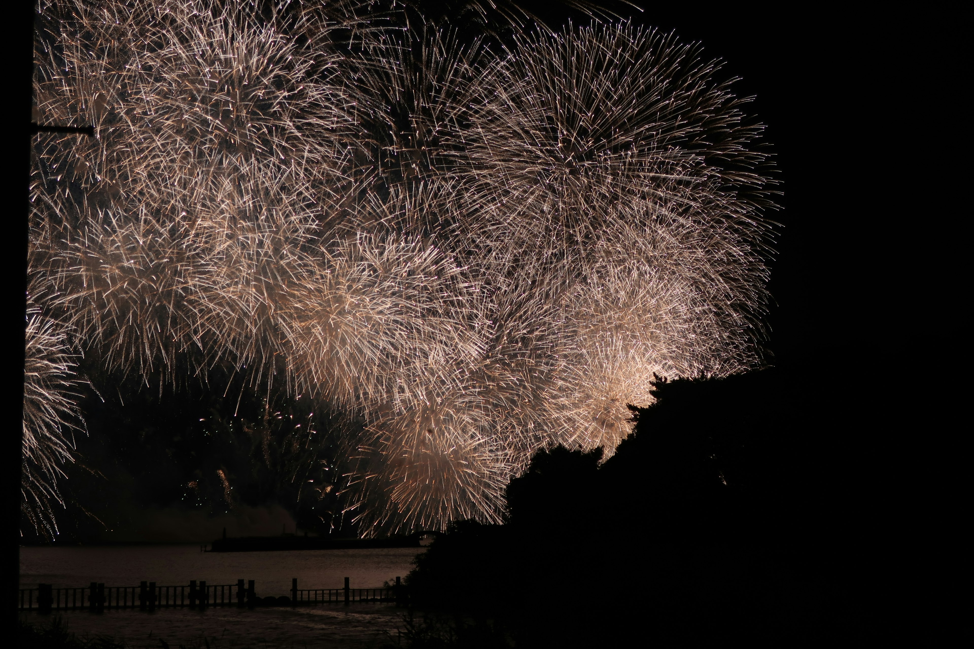 Hermosa escena de fuegos artificiales floreciendo en el cielo nocturno