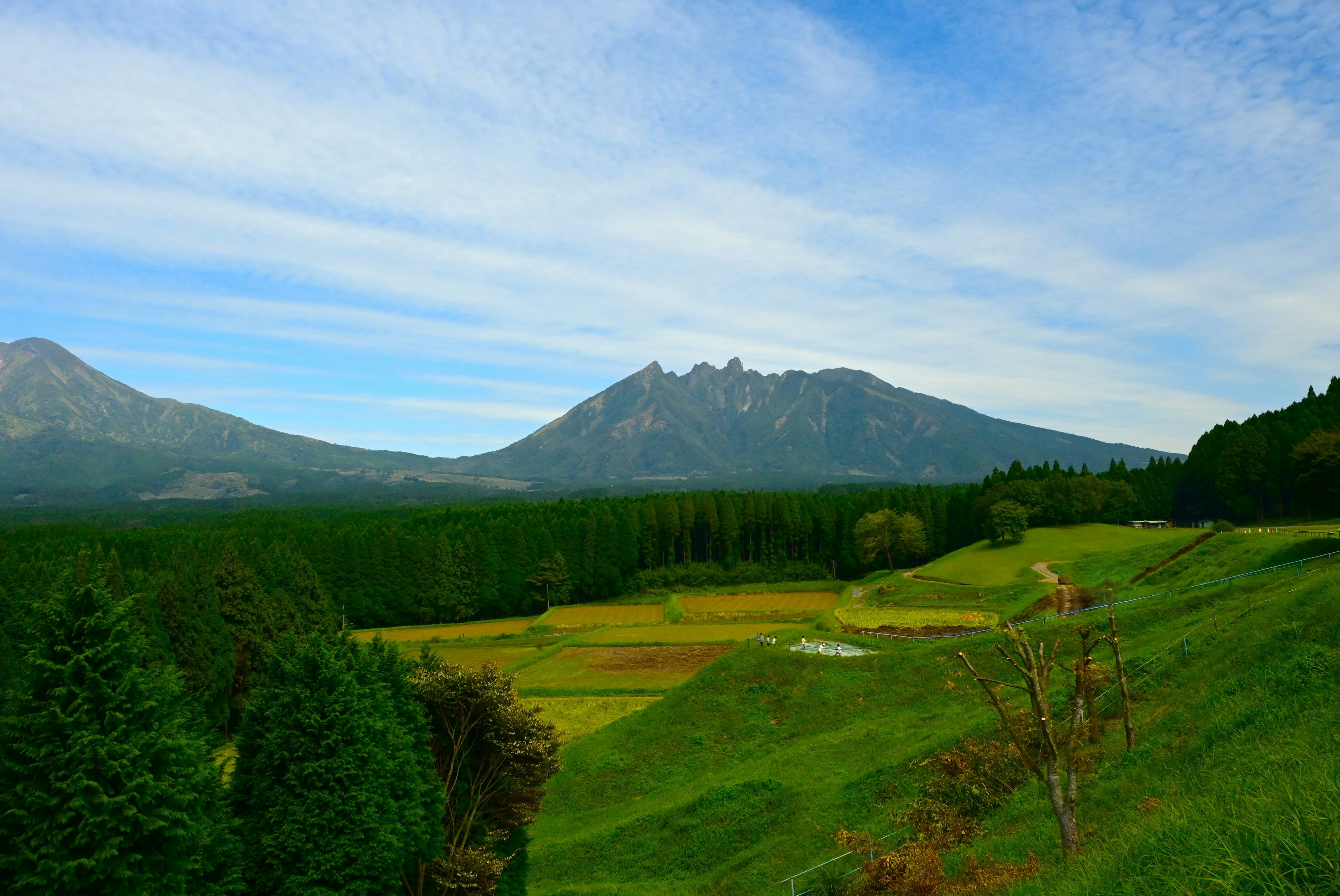 山脉与郁郁葱葱的田野的风景