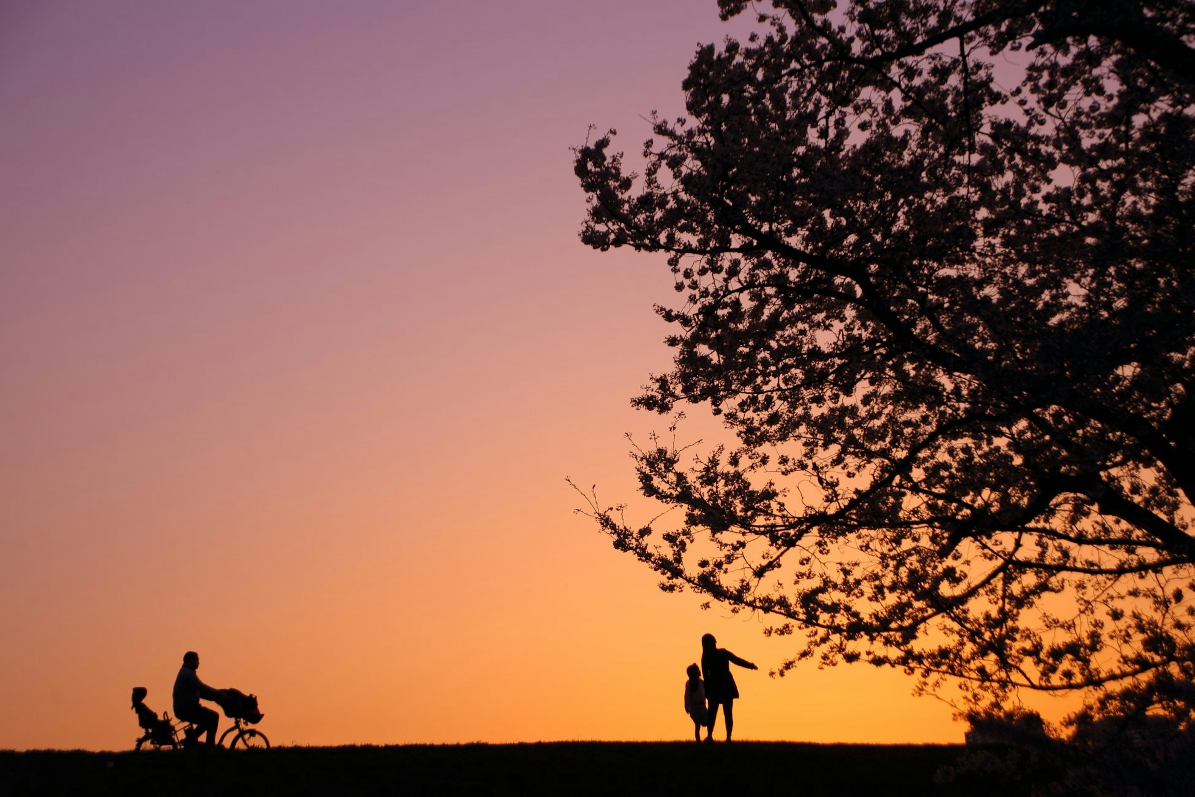 Silhouettes of people and a tree against a sunset