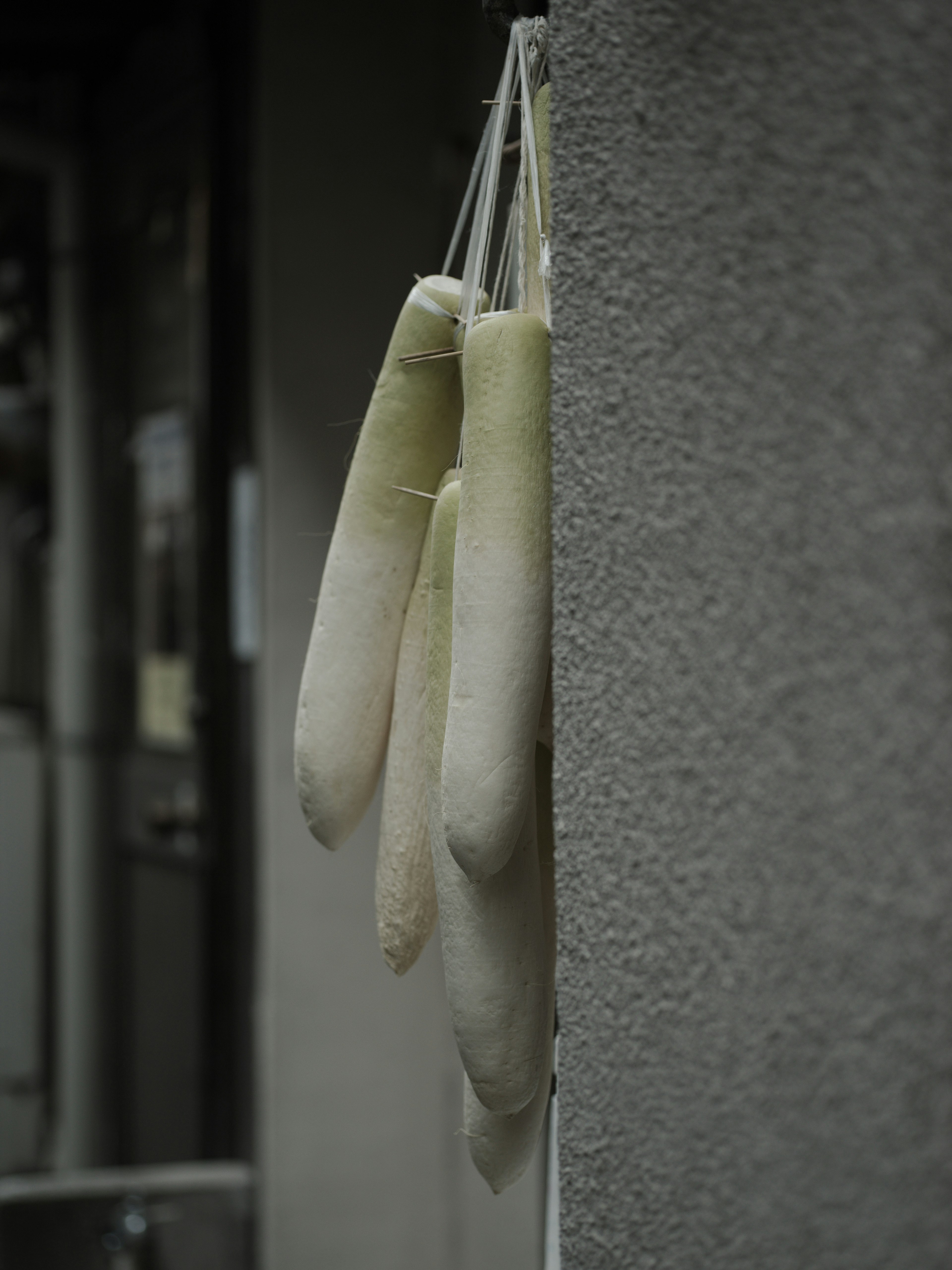 Several daikon radishes hanging on a wall