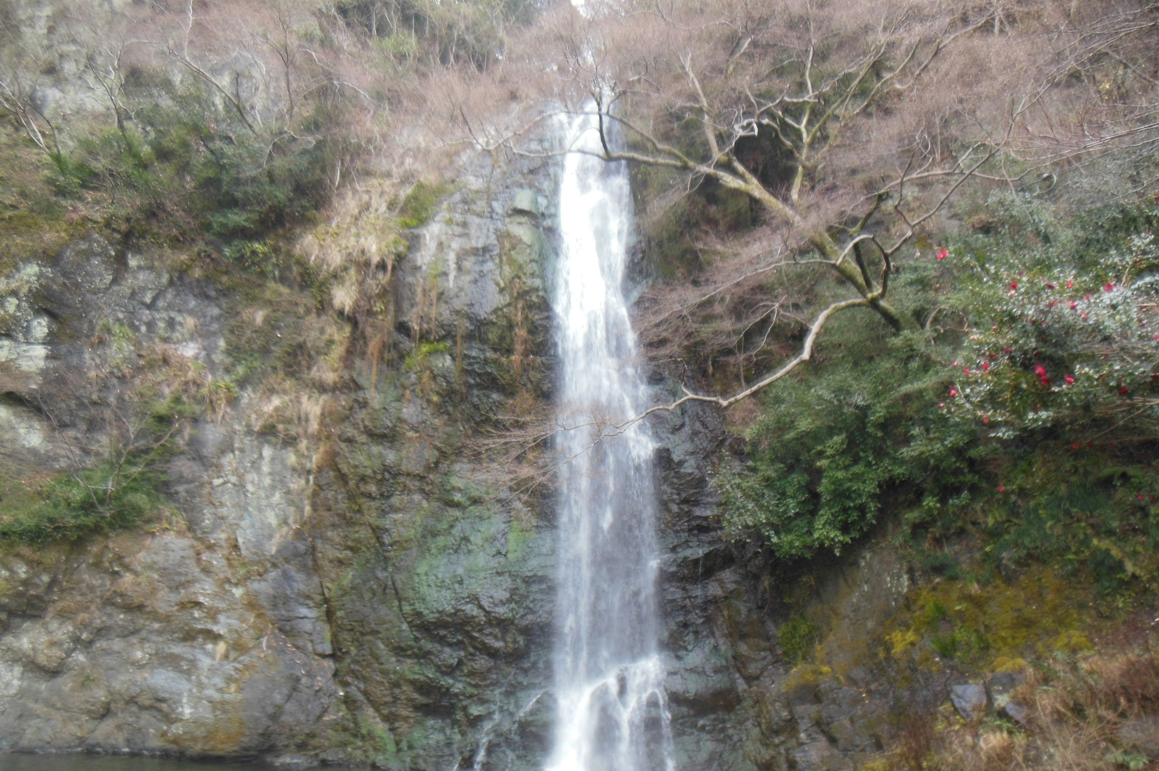 美しい滝が岩肌を流れ落ちる風景