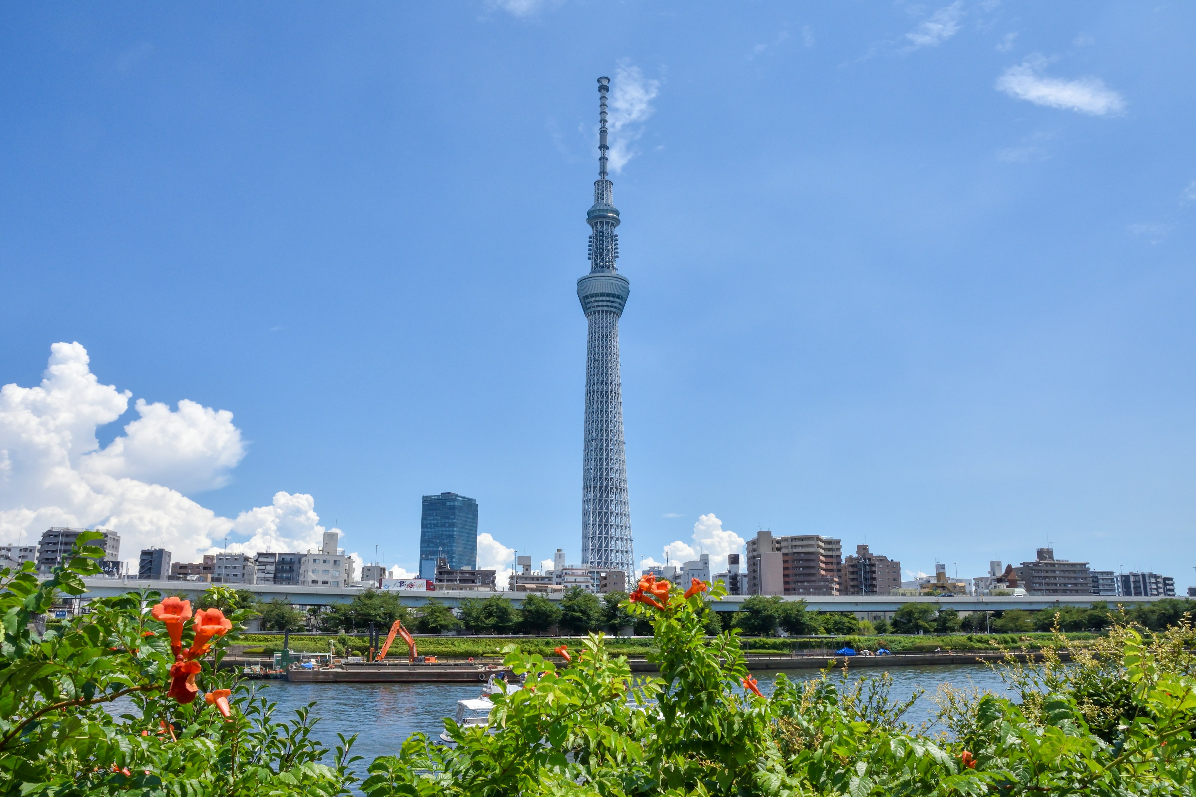 Tokyo Skytree against a blue sky with flowers in the foreground