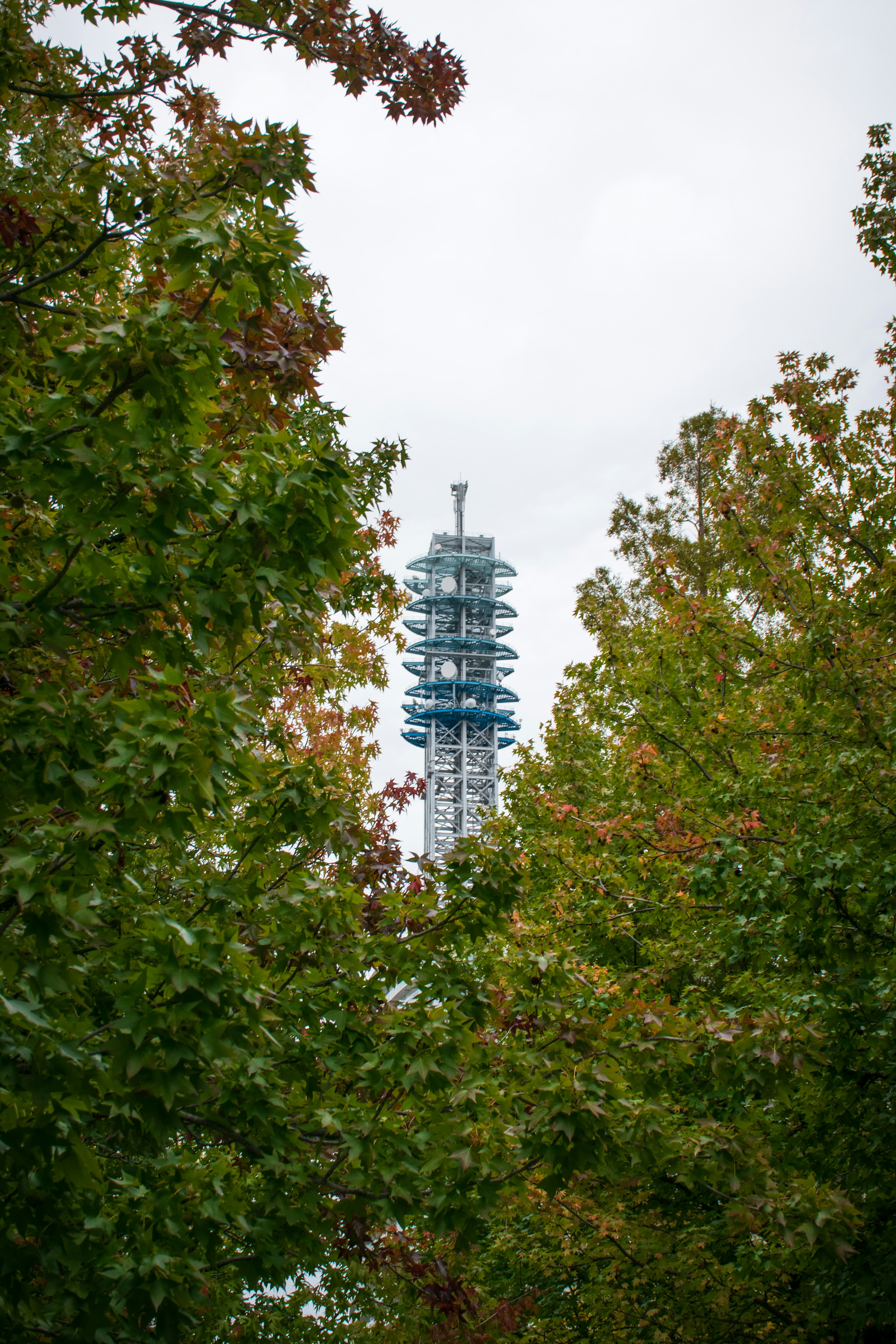 Tall communication tower visible through green trees