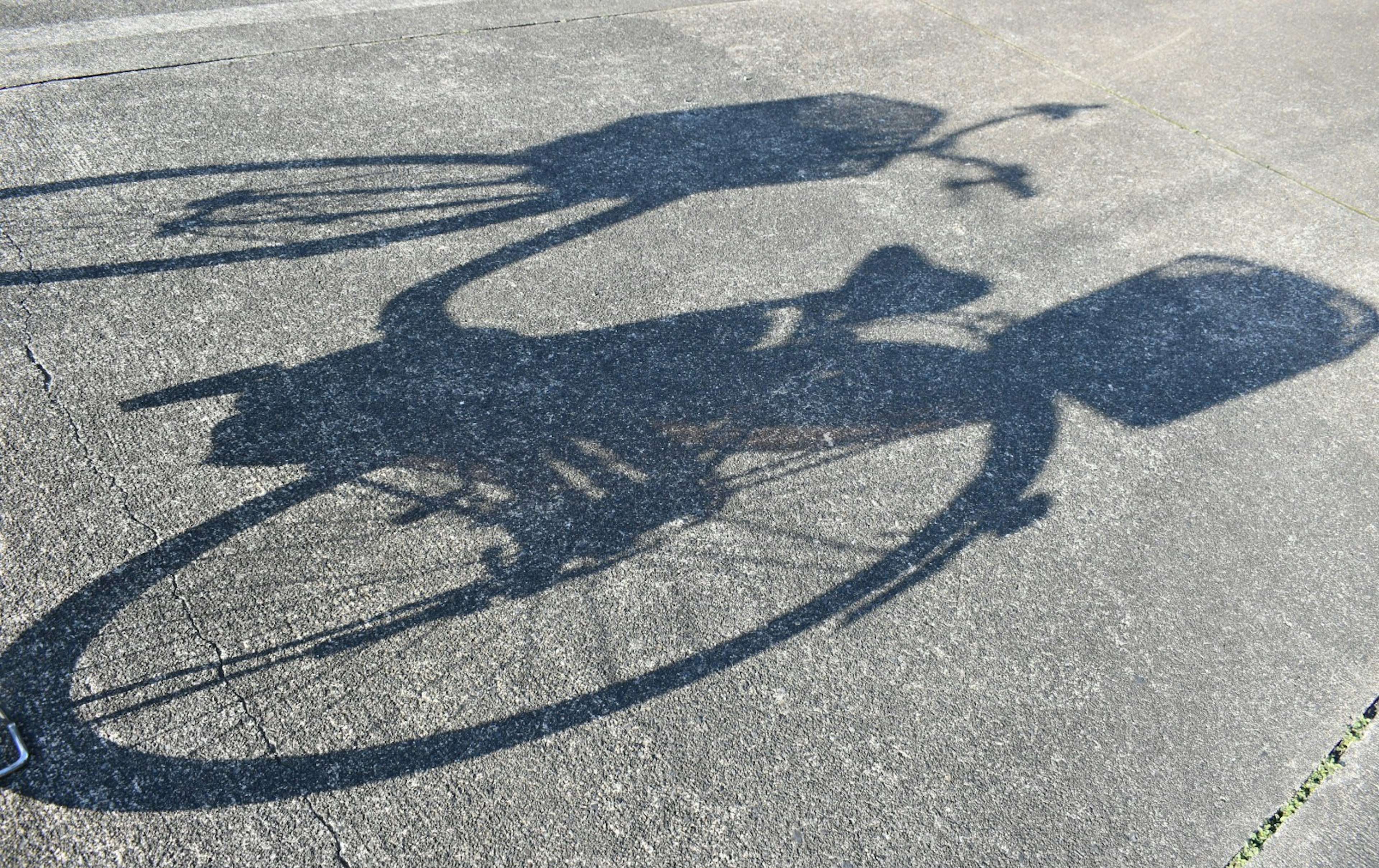 Schatten eines Fahrrads auf dem Pflaster