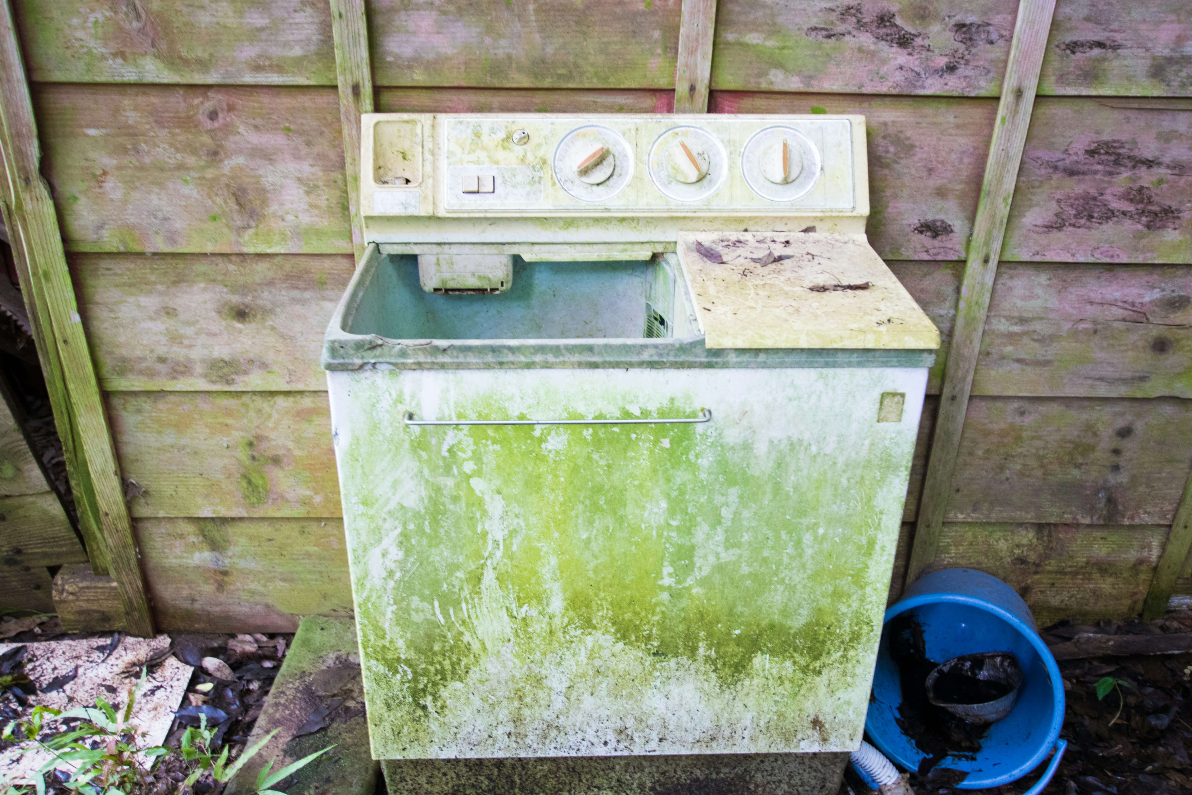 Old washing machine covered in moss