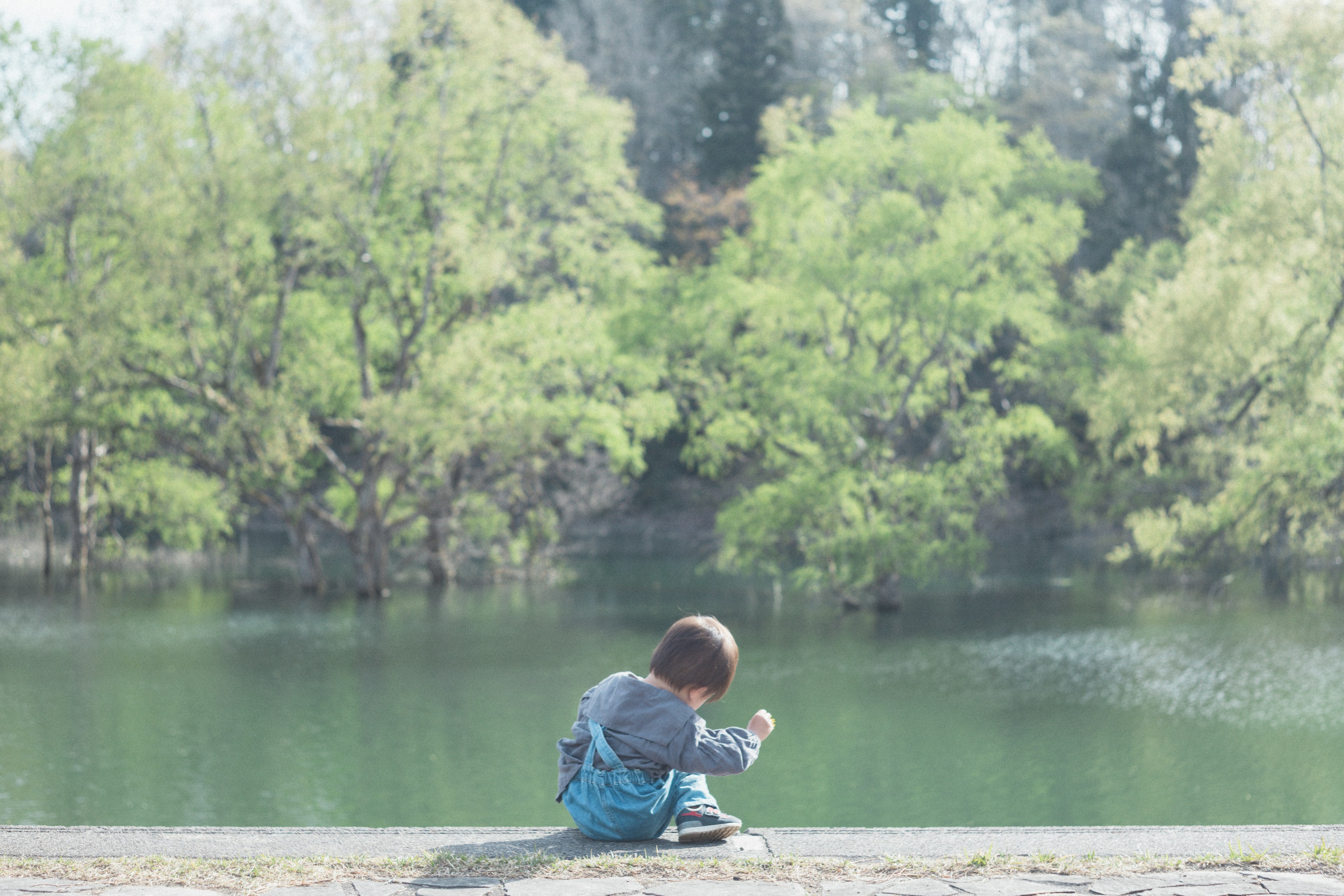 Bambino seduto vicino a un lago circondato da alberi verdi in un ambiente sereno