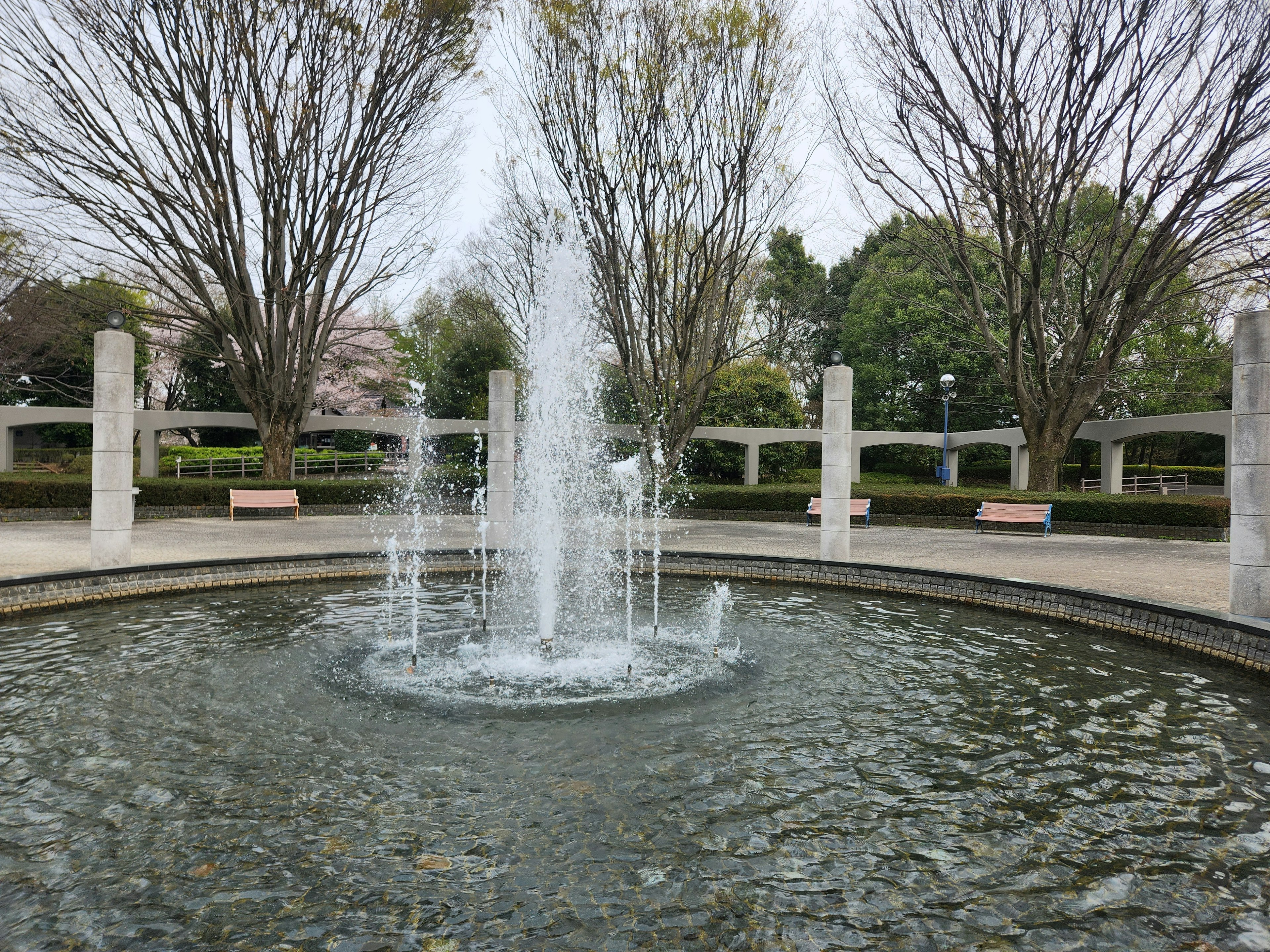 Fountain in a park with a circular pool surrounded by trees and benches