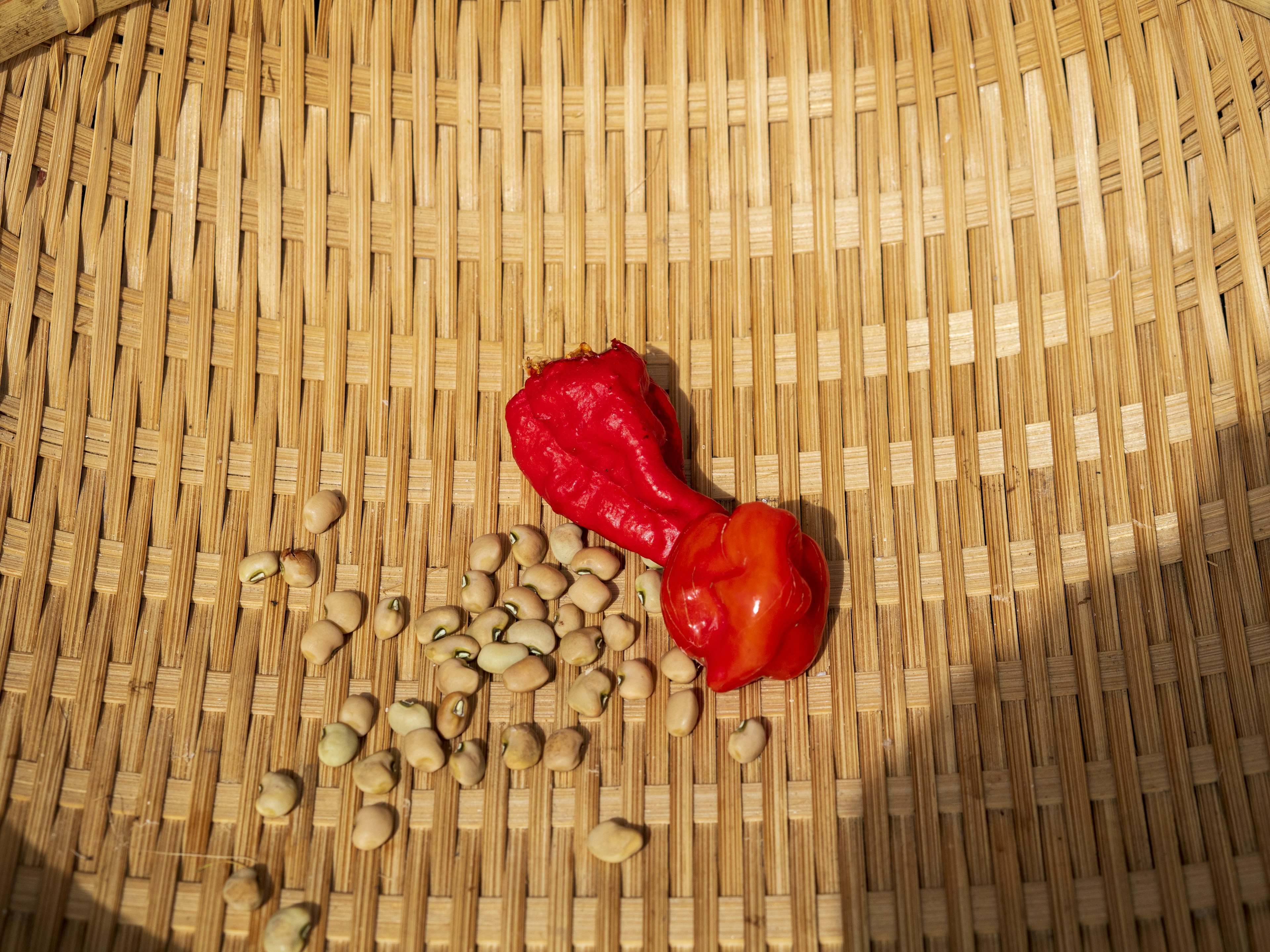 Red habanero pepper and white seeds on a wicker basket