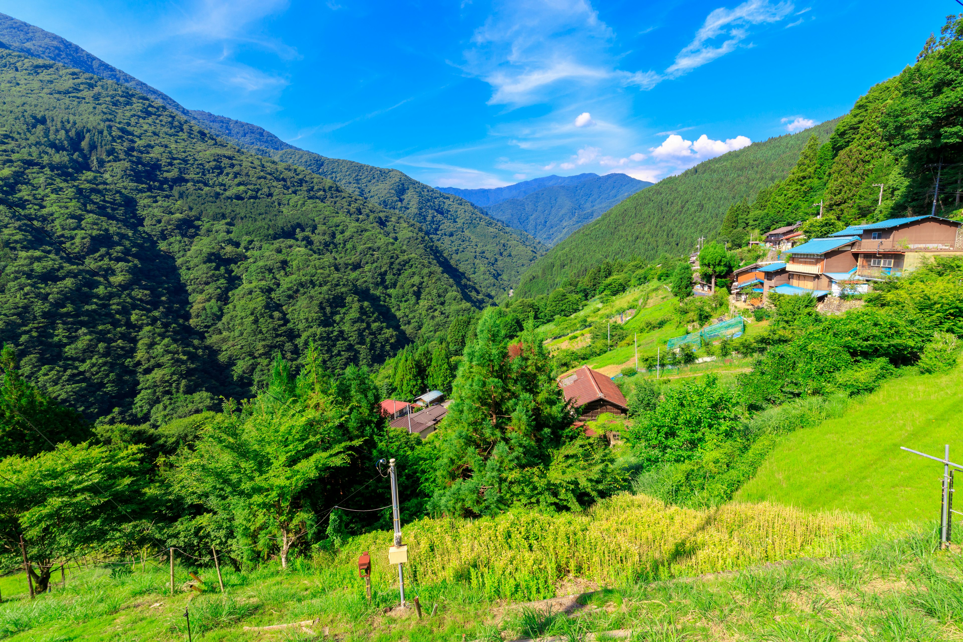 Vue pittoresque d'une vallée verdoyante avec des maisons traditionnelles sous un ciel bleu