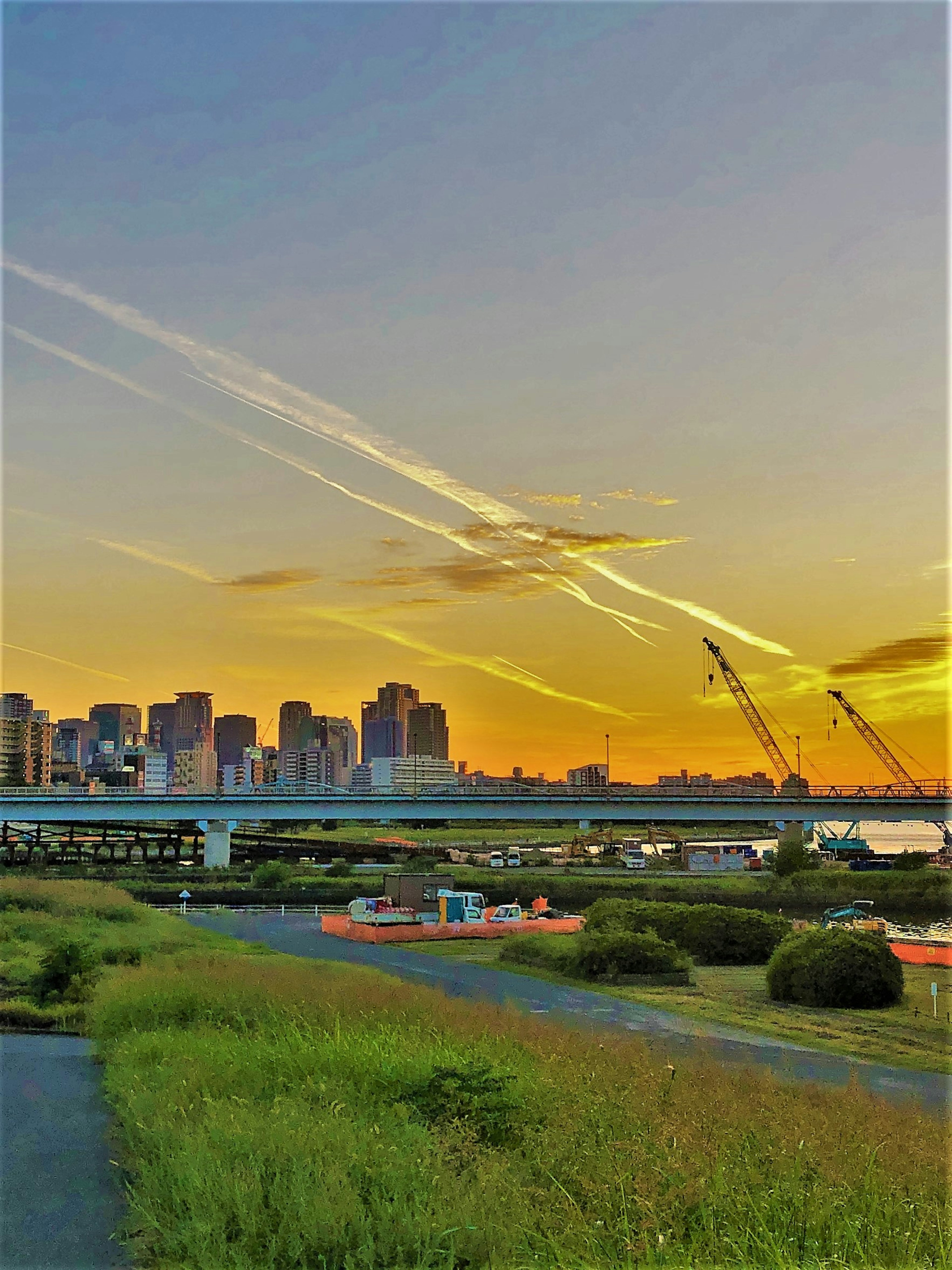 Vue pittoresque d'un ciel au coucher du soleil sur une ligne d'horizon de ville avec de l'herbe verte et un front de mer