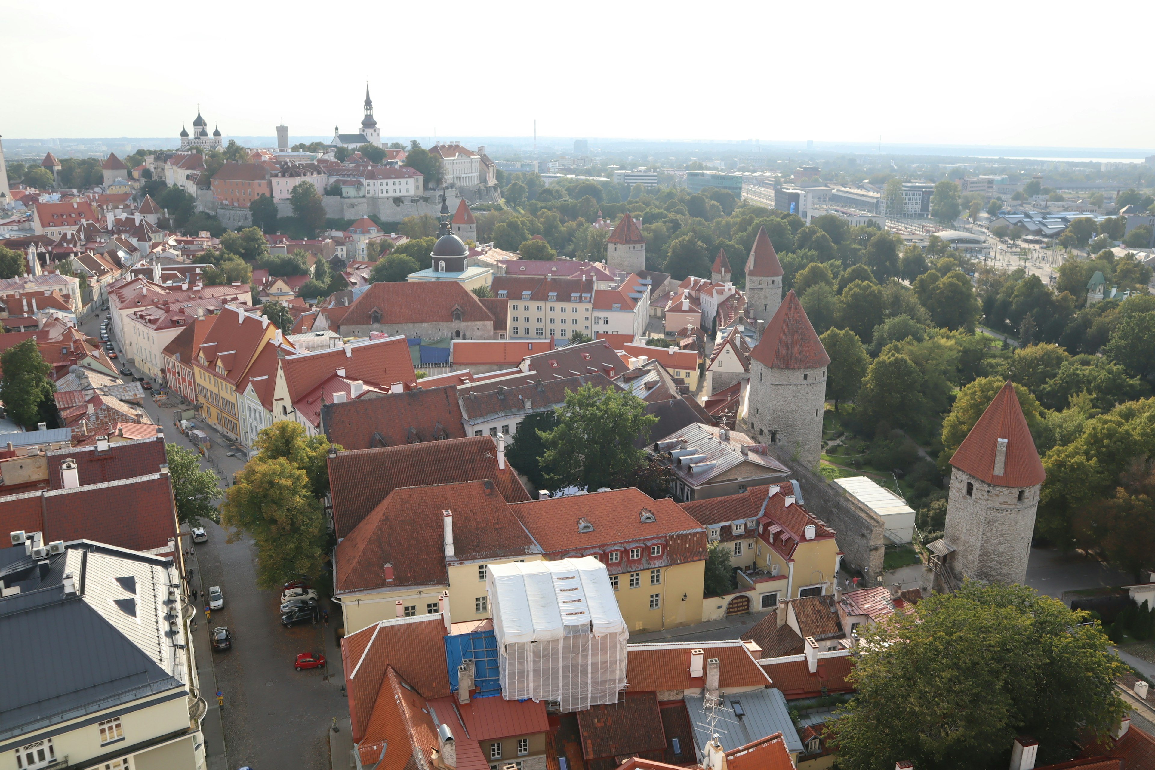 Vista panoramica della città vecchia di Tallinn con case a tetto rosso e torri storiche