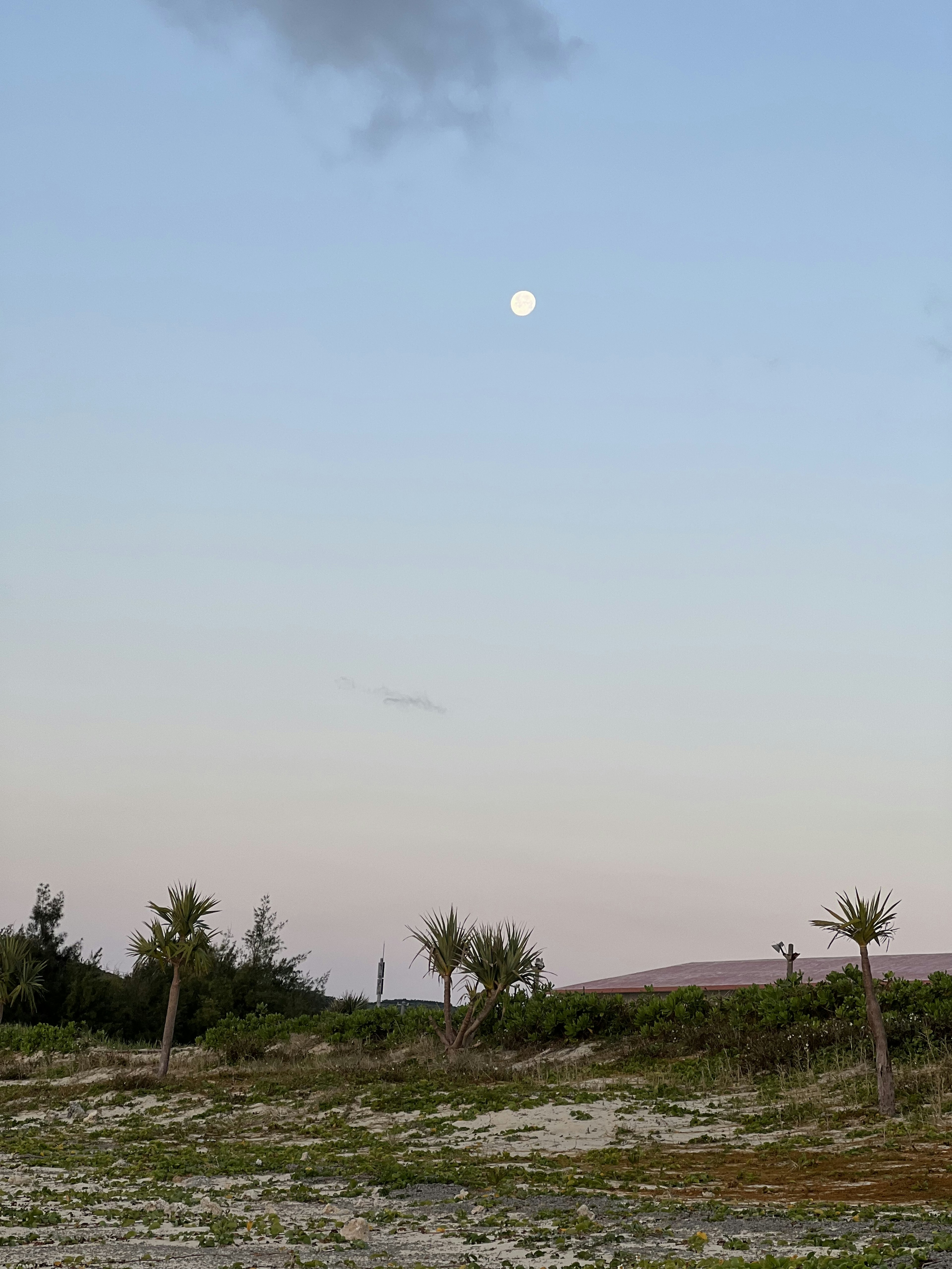 Landschaft mit einem Mond im blauen Himmel und einer grasbewachsenen Fläche