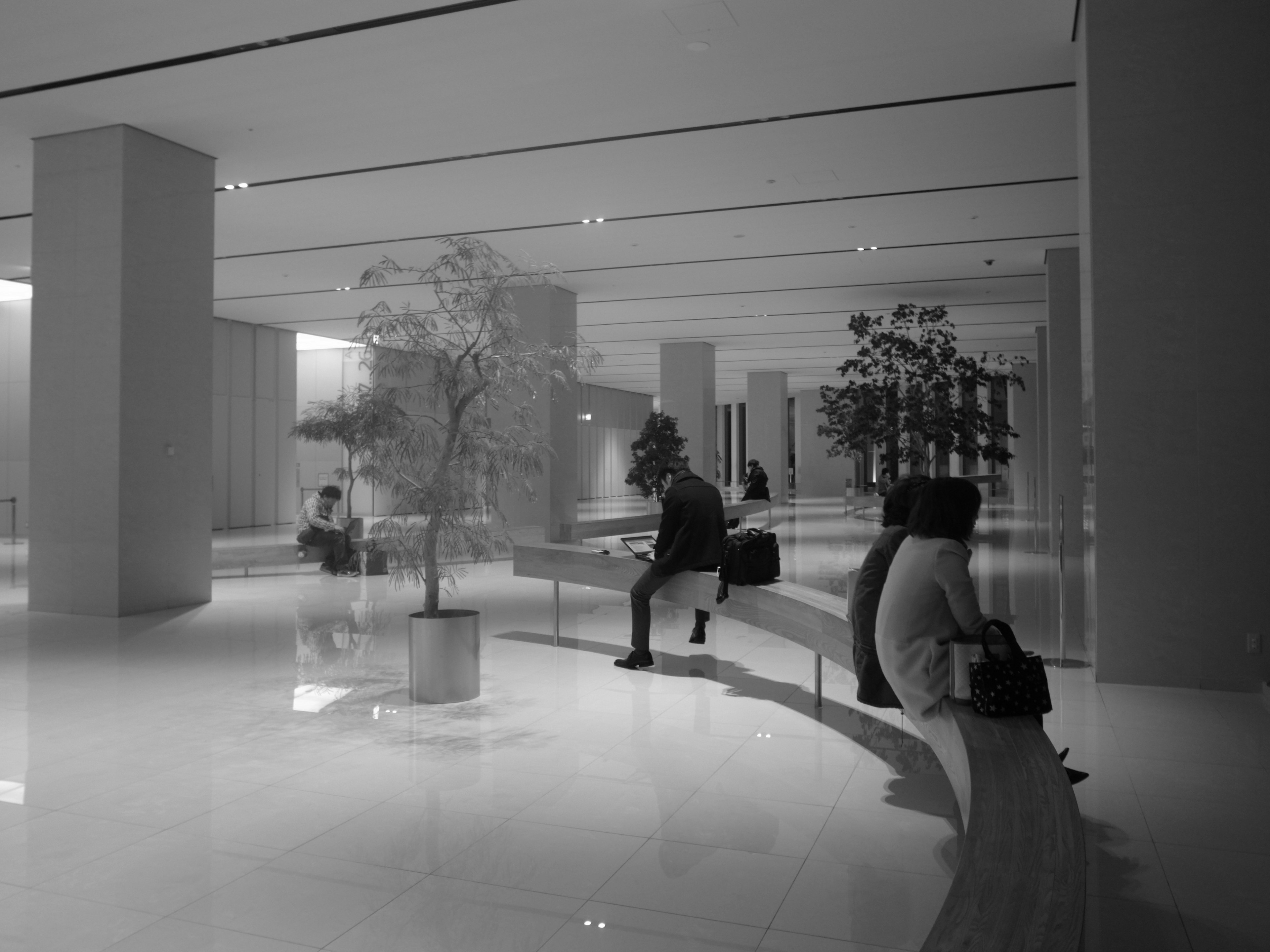 Modern lobby with seated individuals and plant arrangements