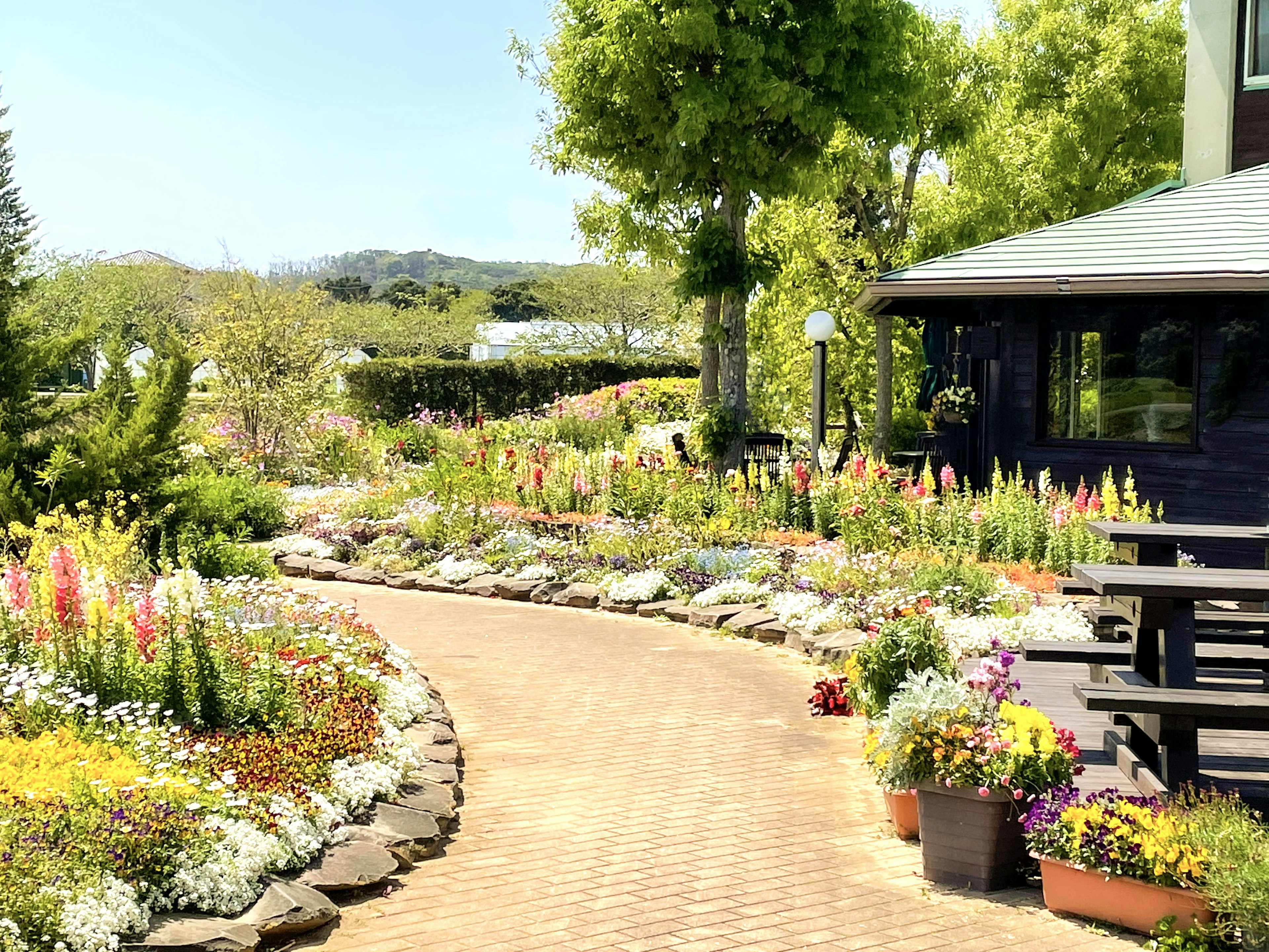 A charming pathway surrounded by vibrant flowers and greenery