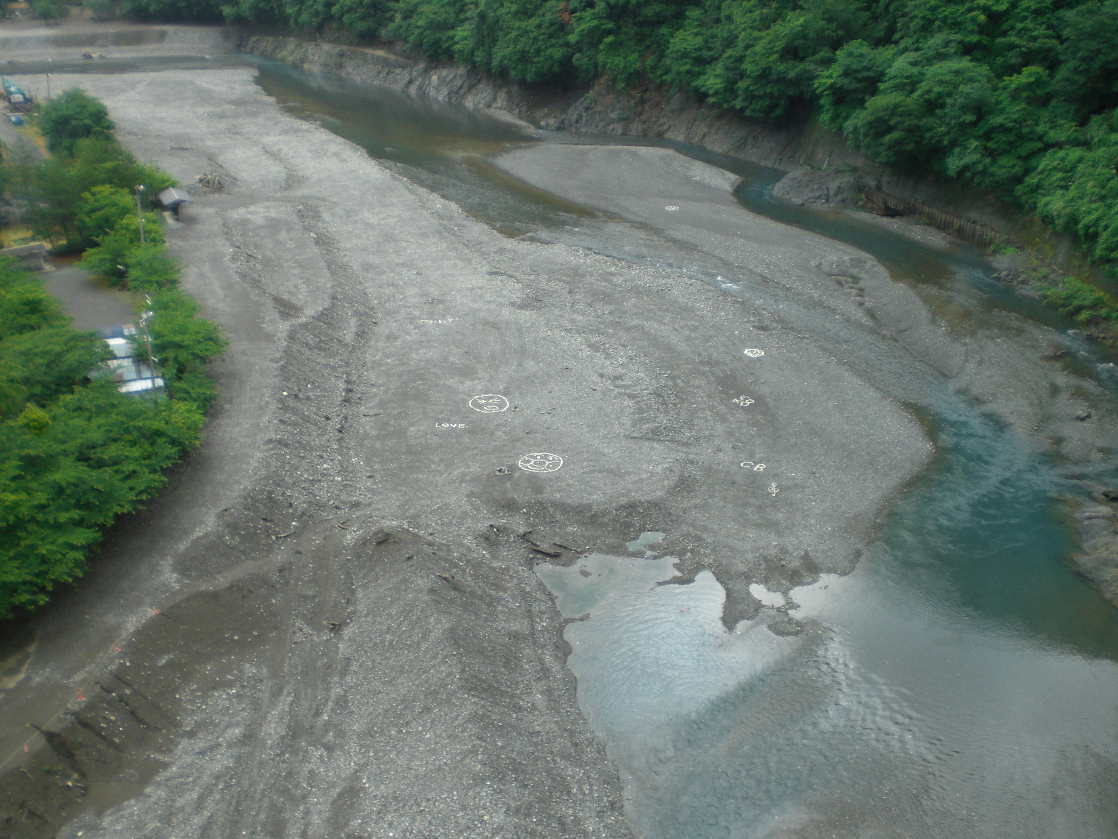 河川の干潟と緑の木々が見える風景