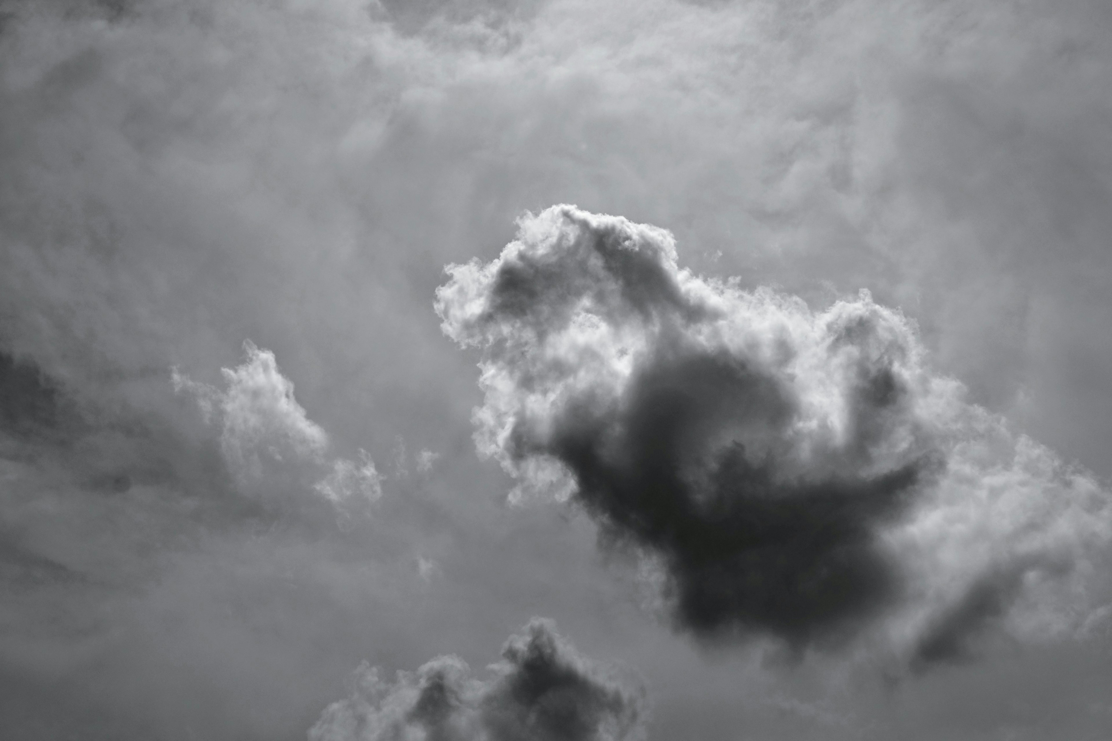 Vista del cielo con formazioni nuvolose che somigliano a un animale