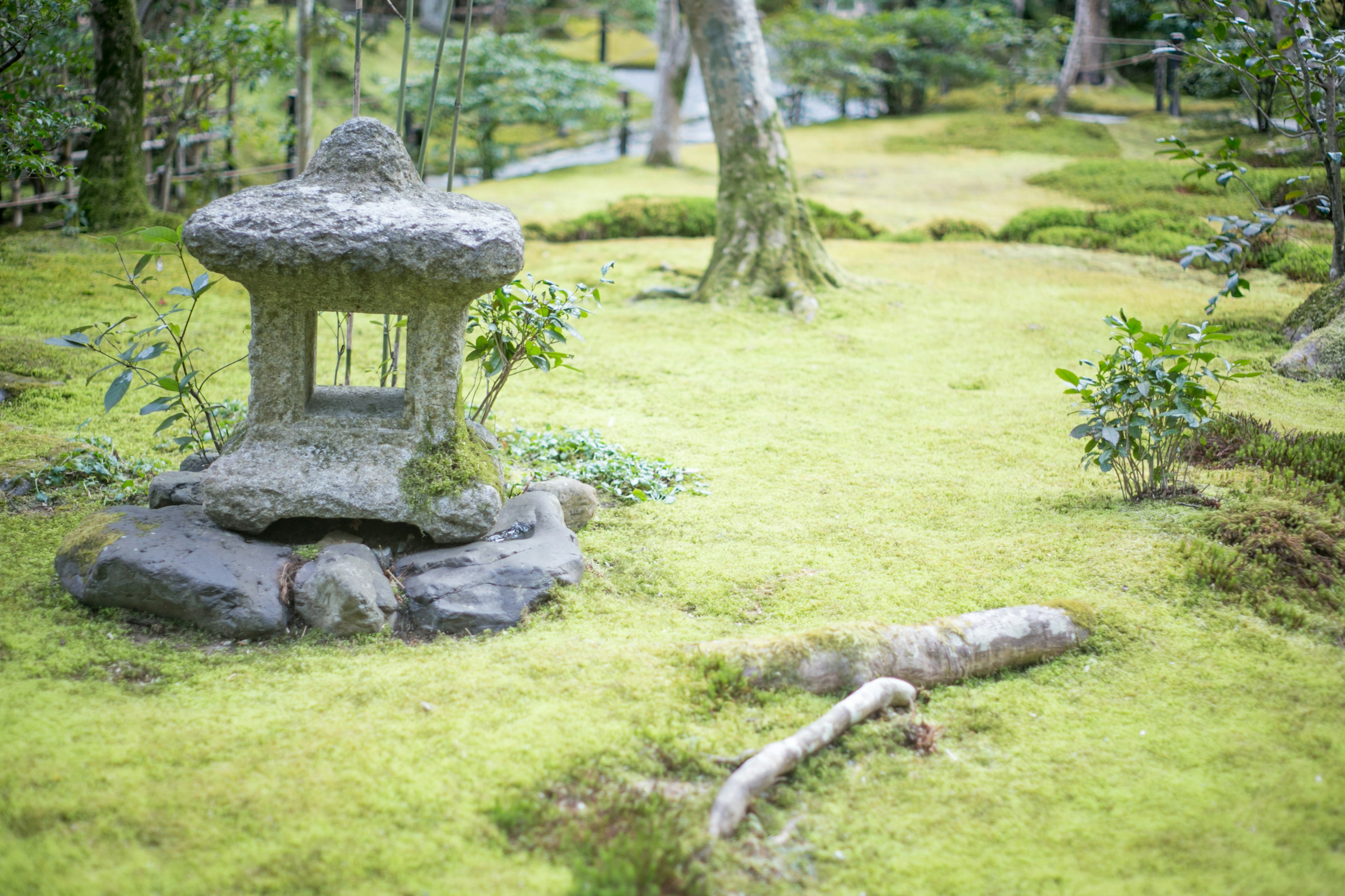 宁静的日本庭园场景，石灯笼和郁郁葱葱的苔藓