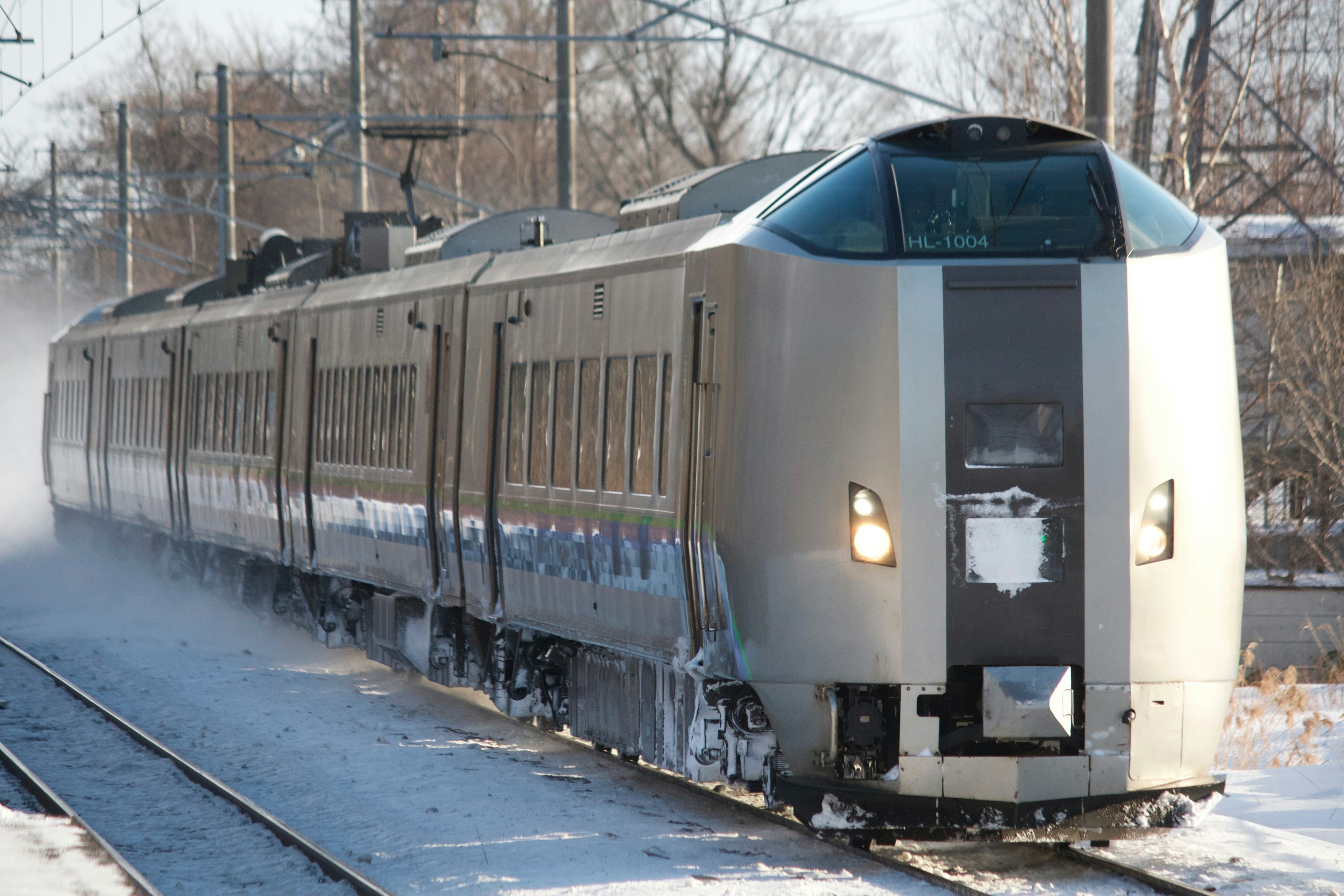 雪の中を走る銀色の特急列車