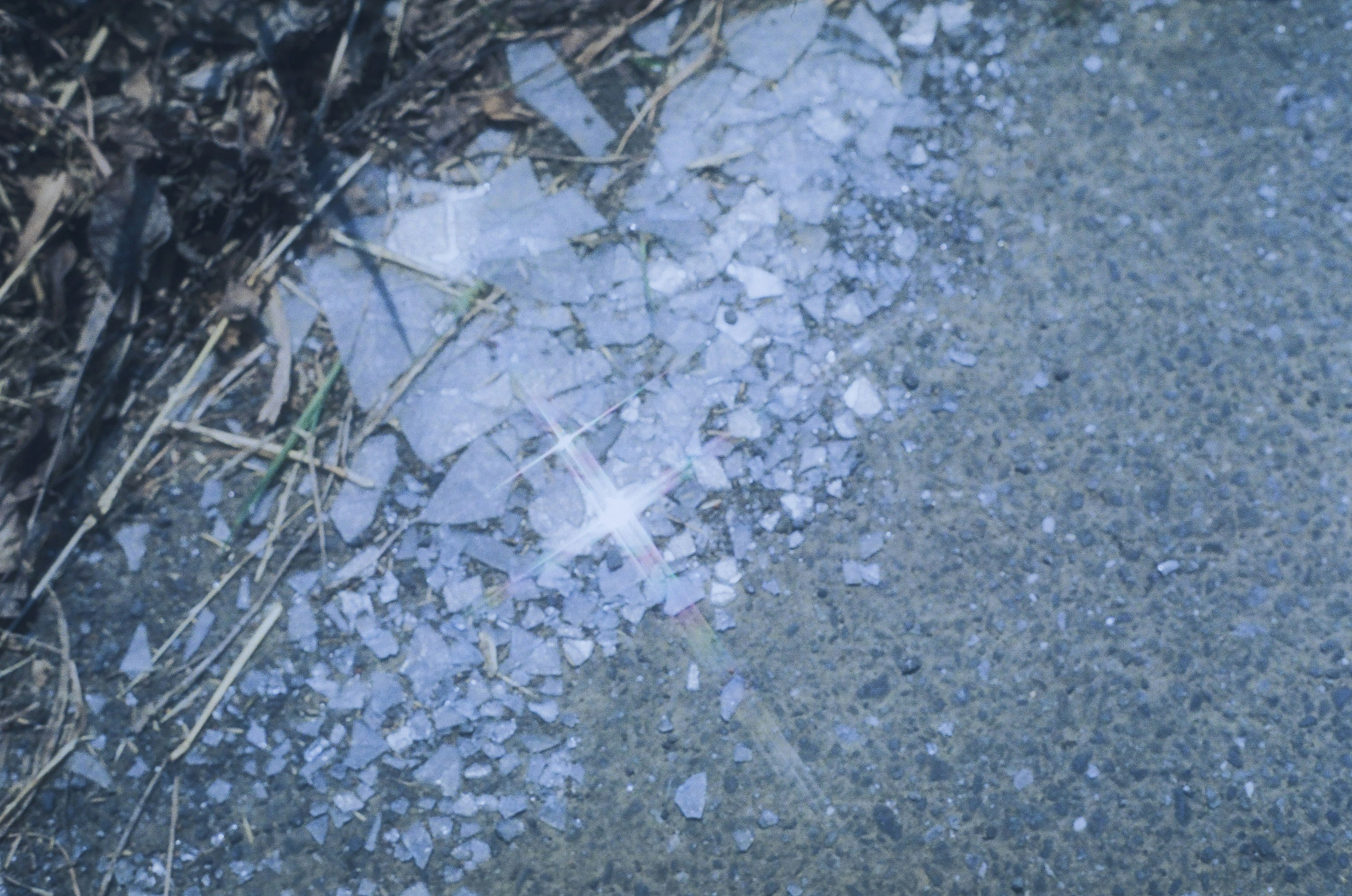 Scattered white crystals beside the road with grass