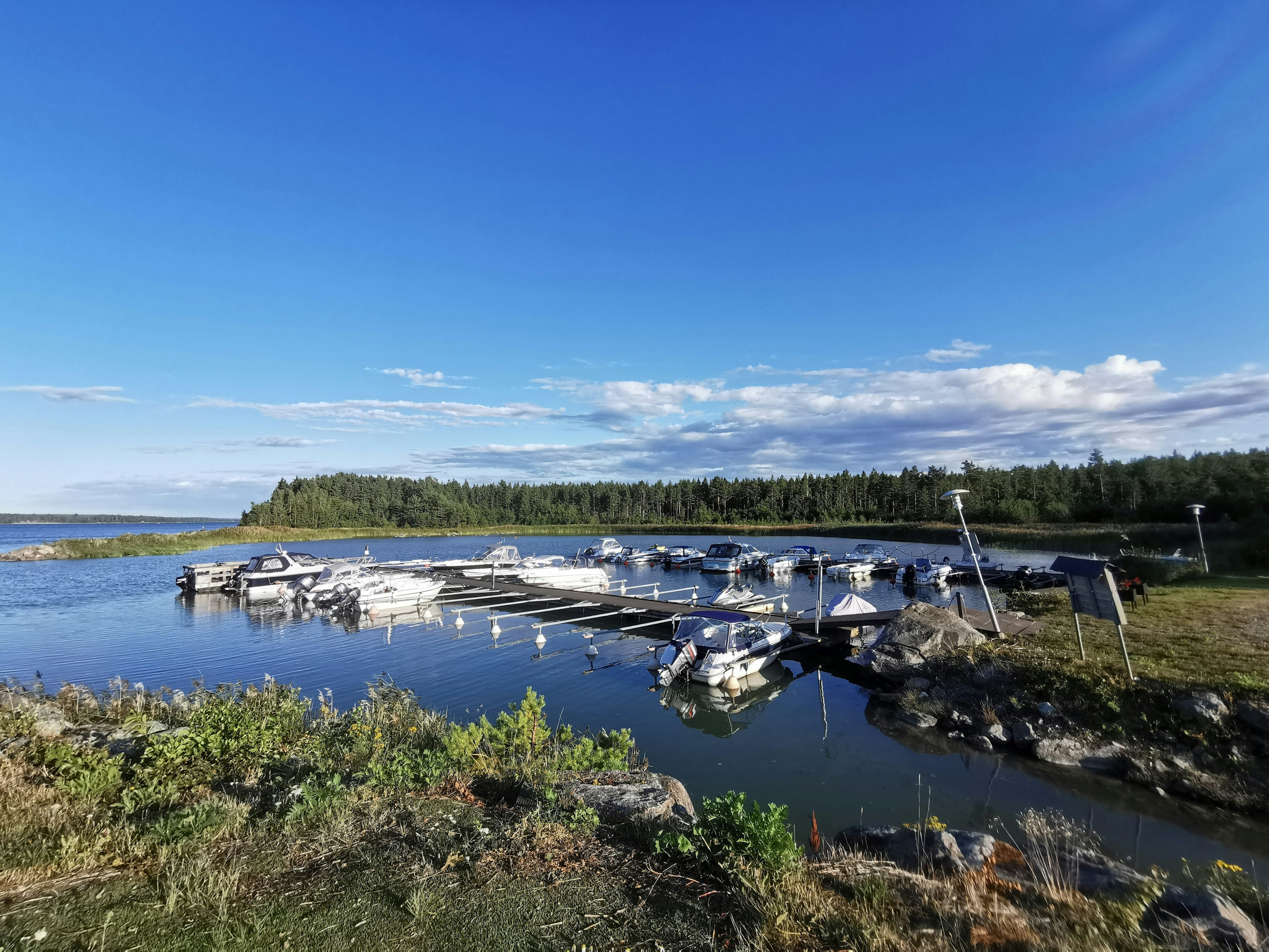 Marina serena bajo un cielo azul con botes y costa verde