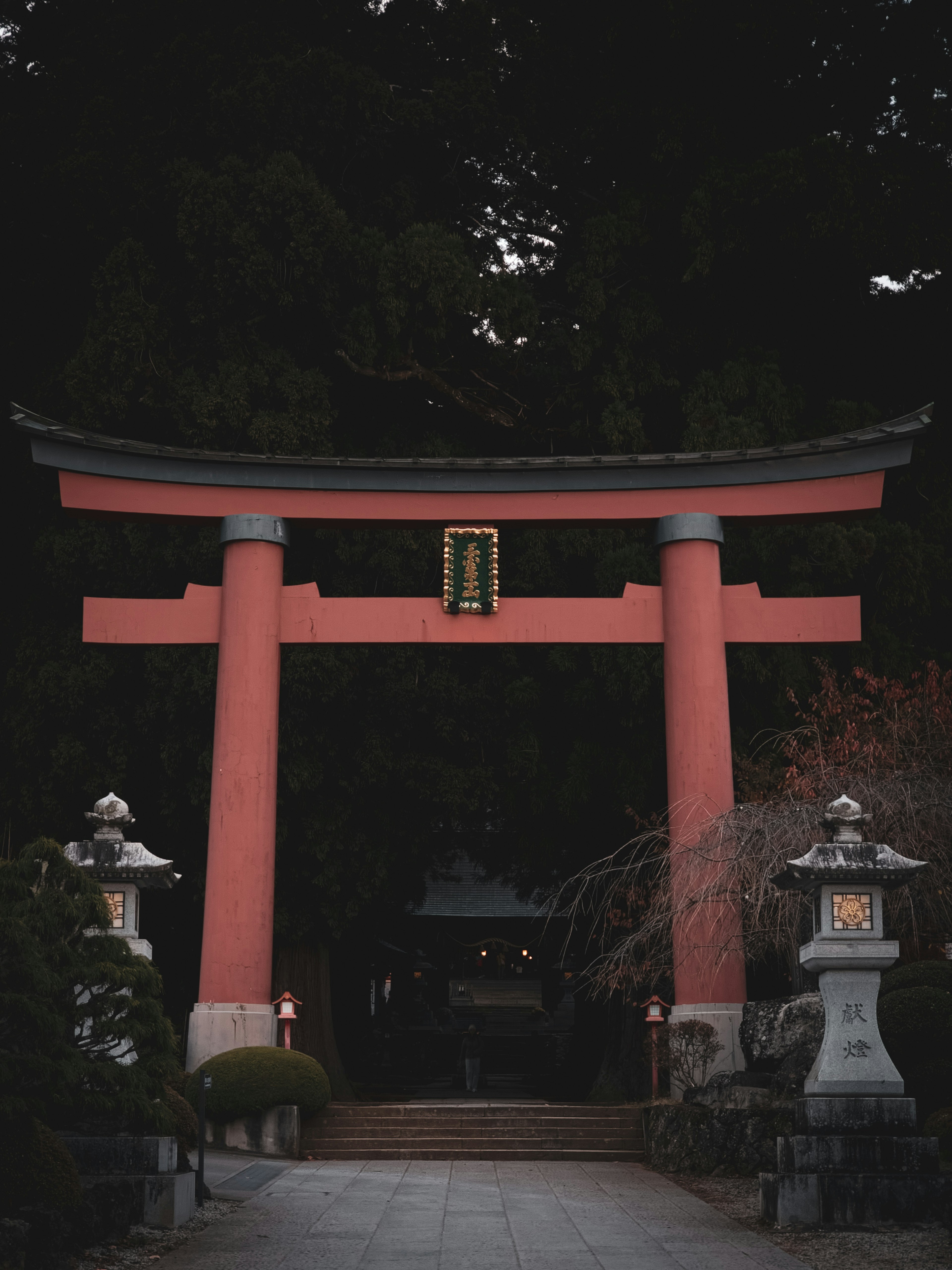 赤い鳥居と灯篭がある神社の入り口の風景