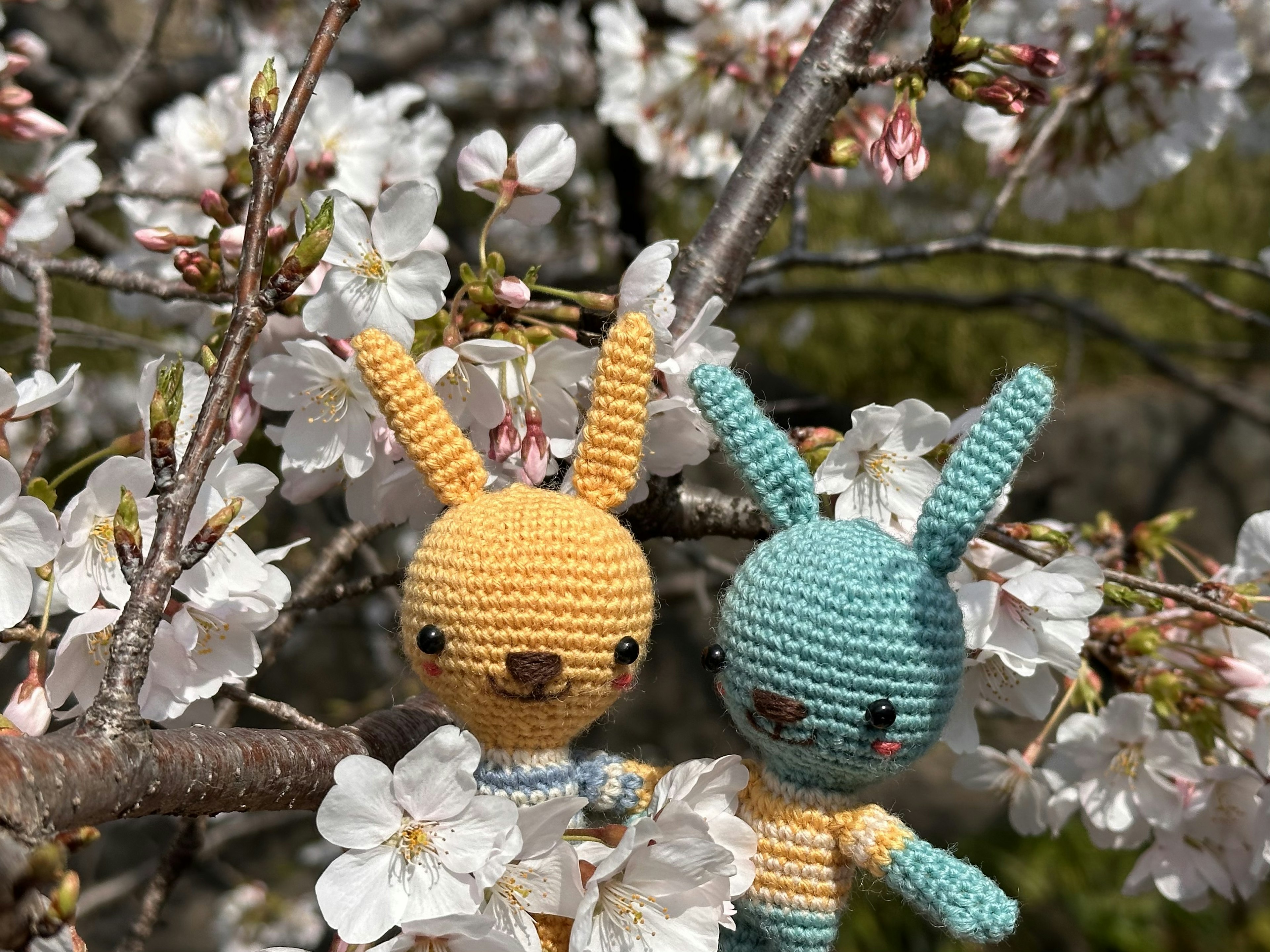 Deux poupées en crochet de lapin parmi des cerisiers en fleurs