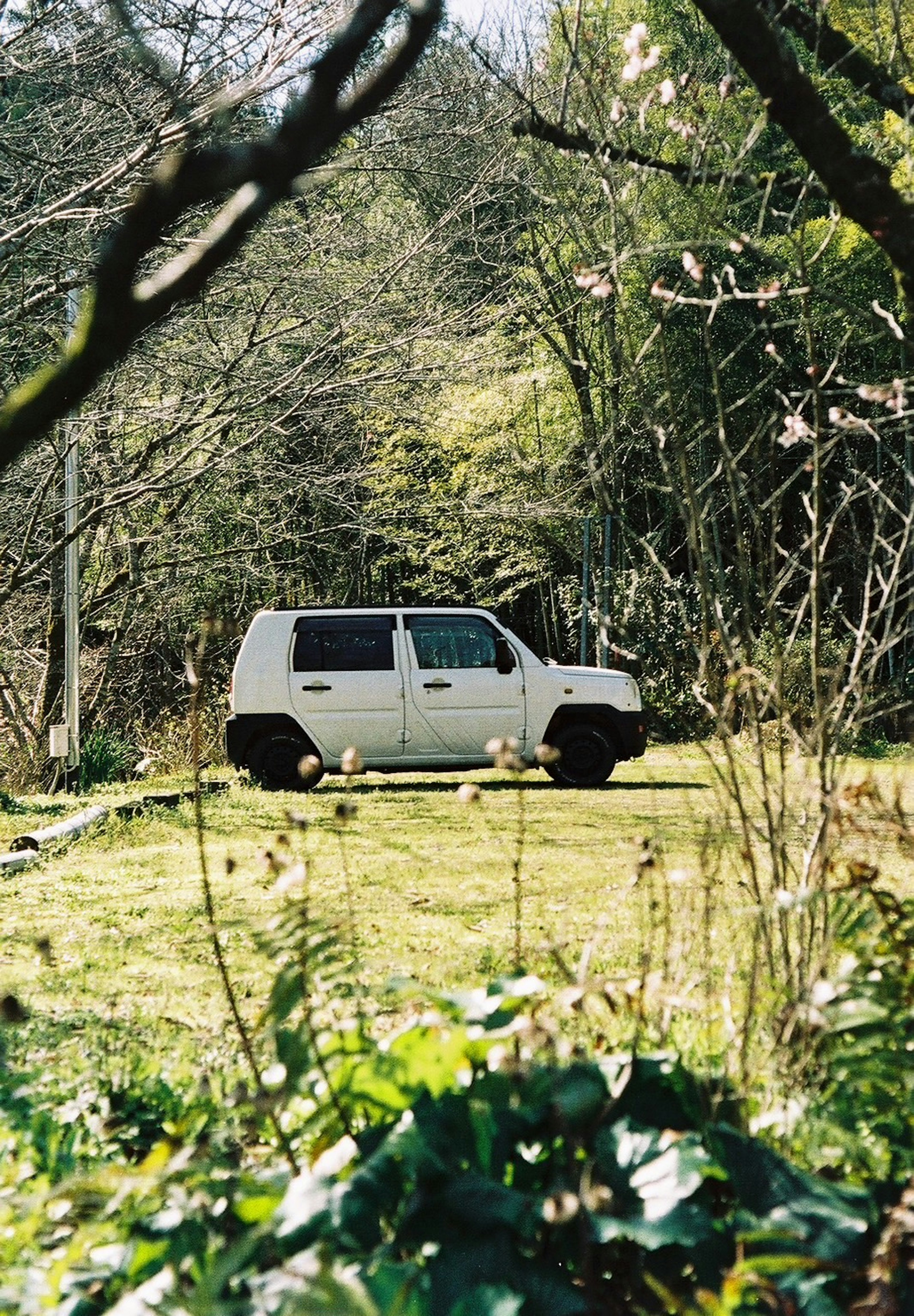 Un SUV blanco estacionado en hierba verde rodeado de árboles