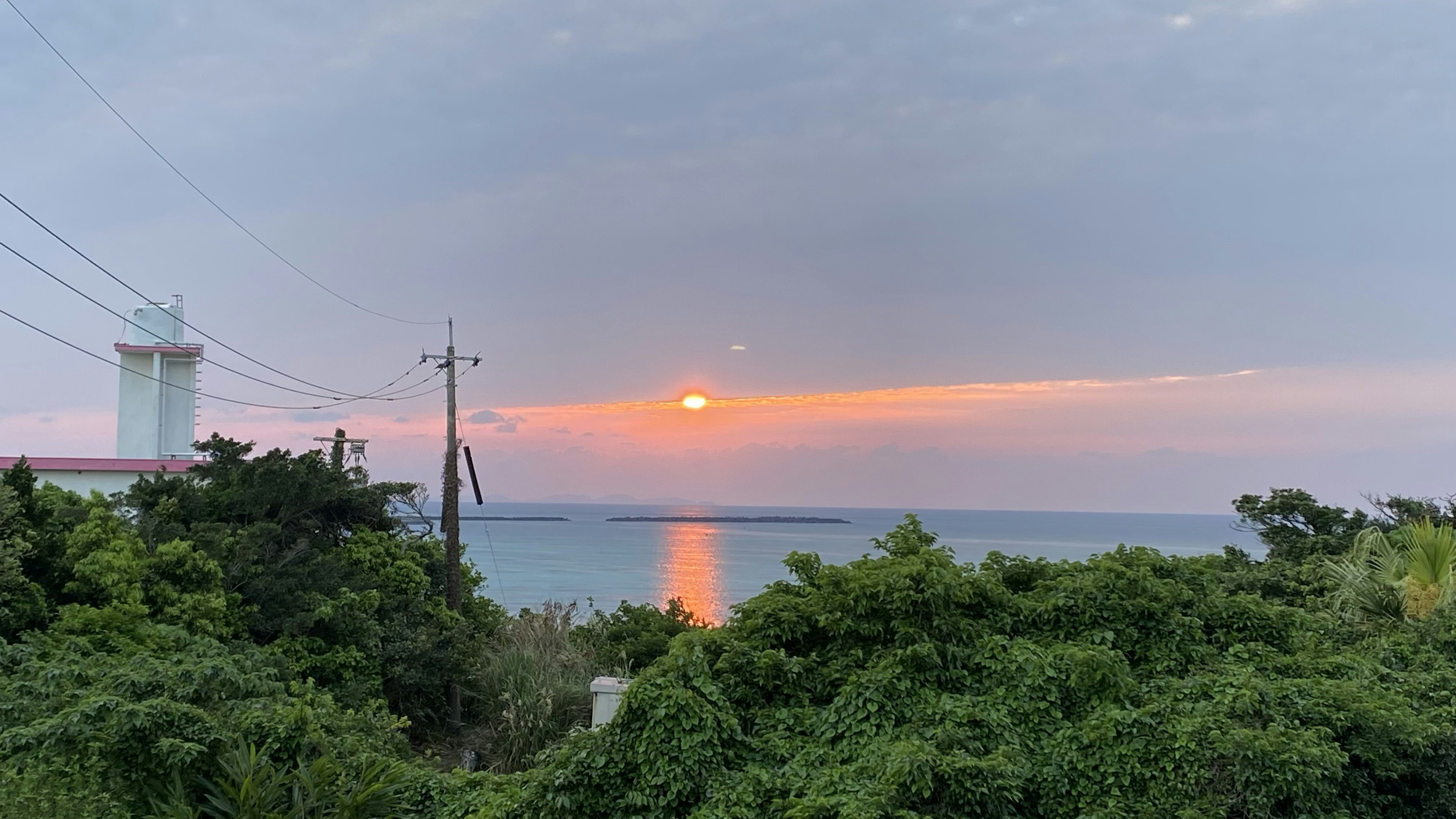 海上日落與郁郁蔥蔥的植物風景