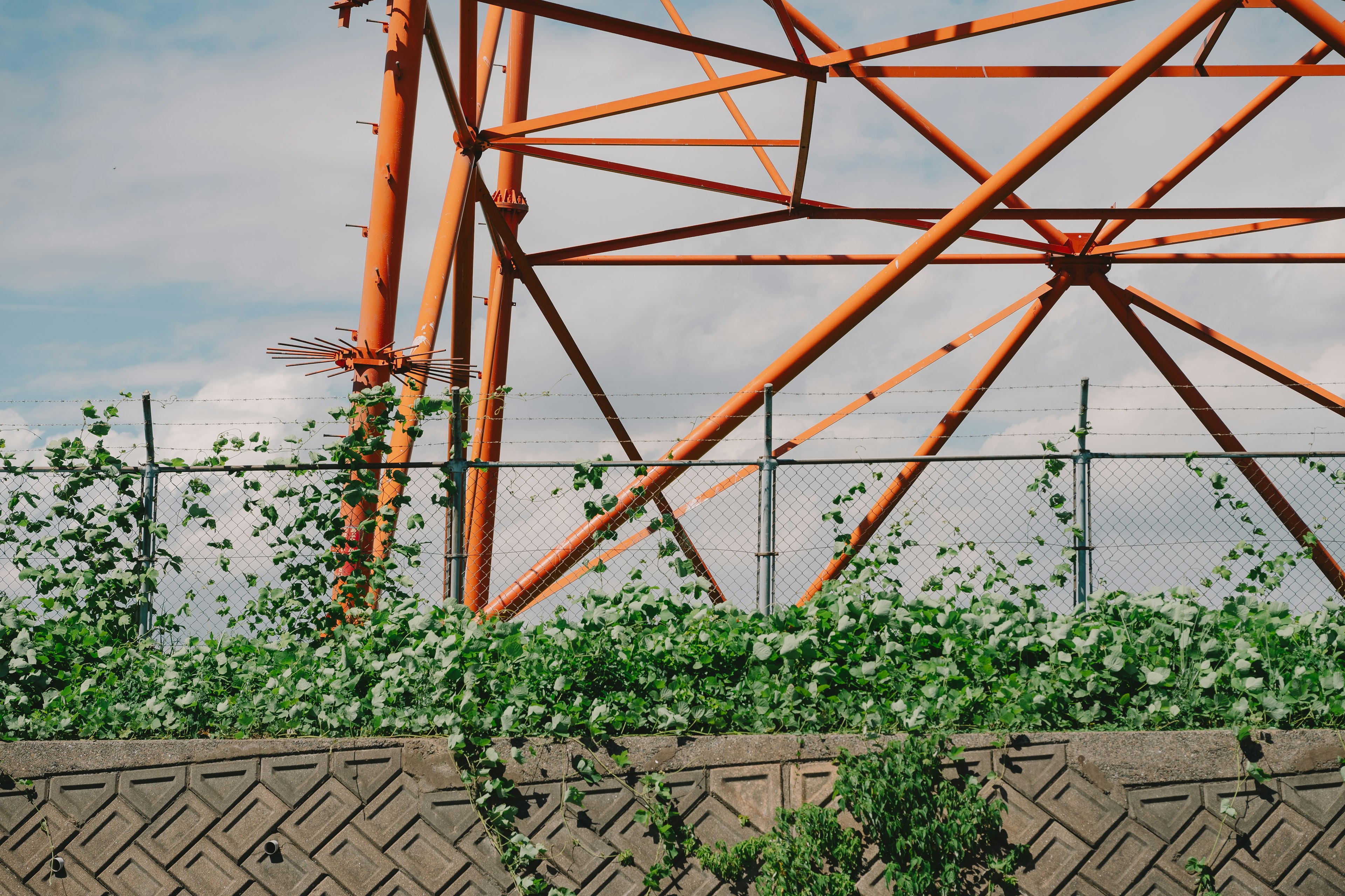 An orange transmission tower intertwined with green vegetation