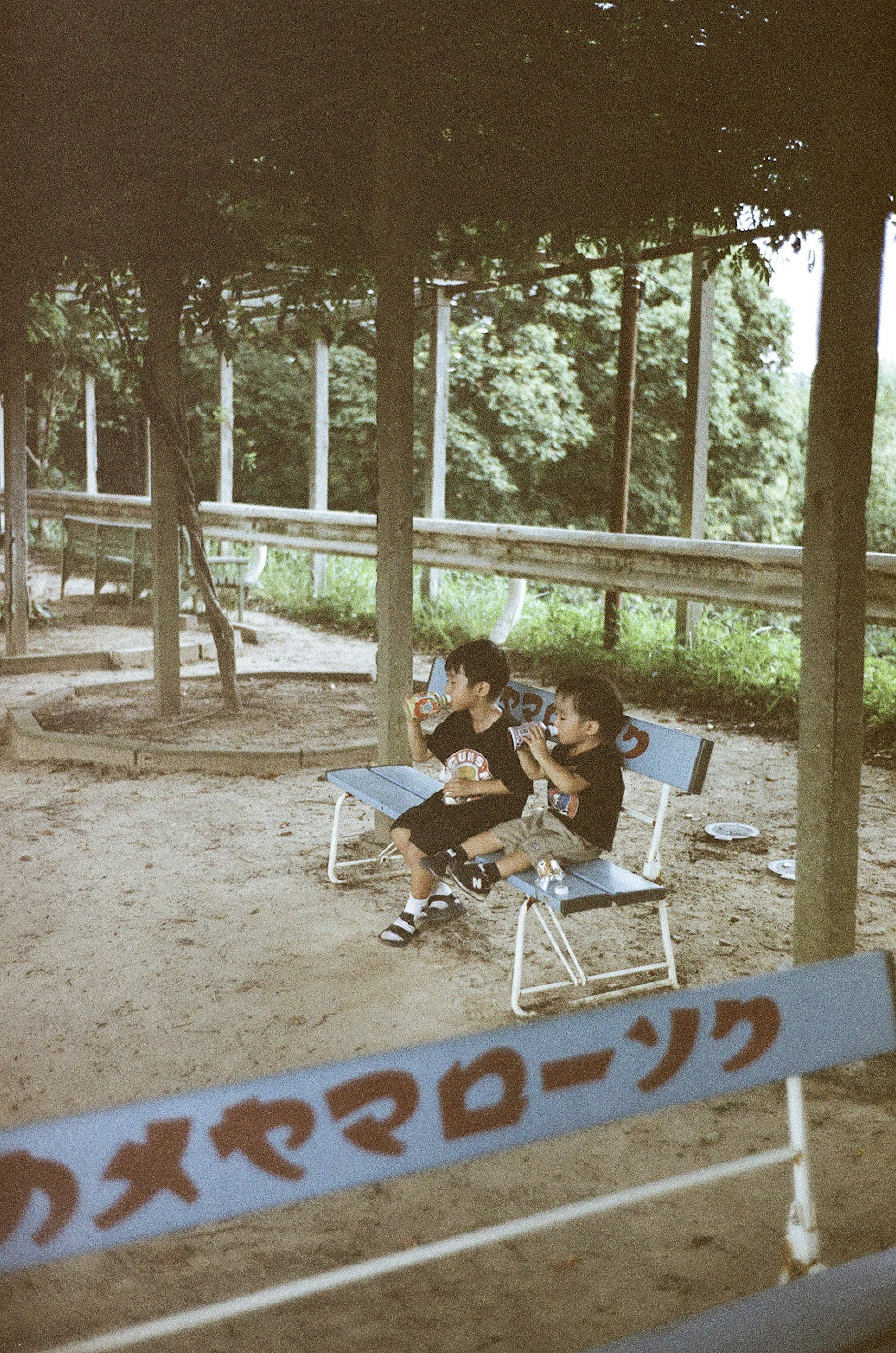 Two children sitting on chairs in a shaded area with greenery