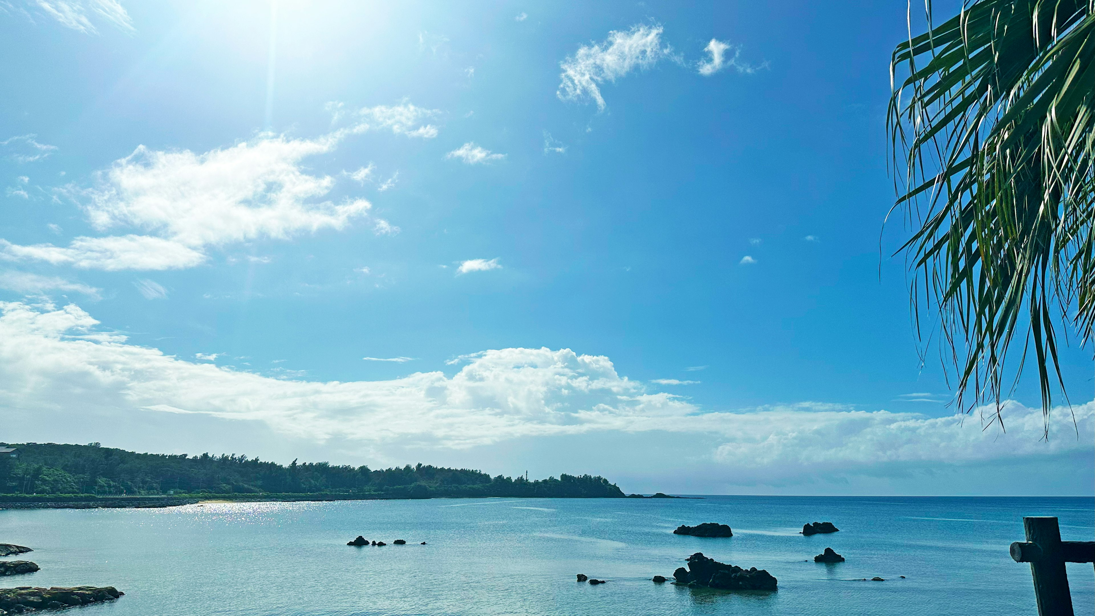 Vue panoramique de l'océan bleu et du ciel avec des rochers et des palmiers