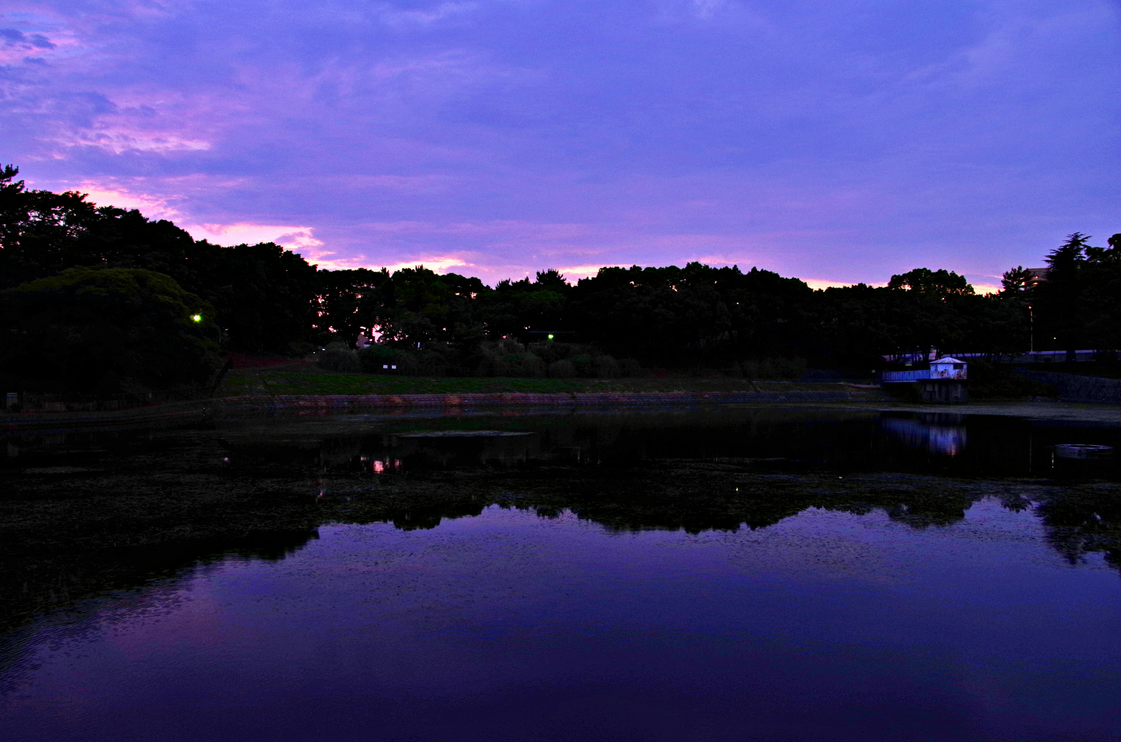 Vista tranquilla del lago al crepuscolo con riflessi di cielo viola